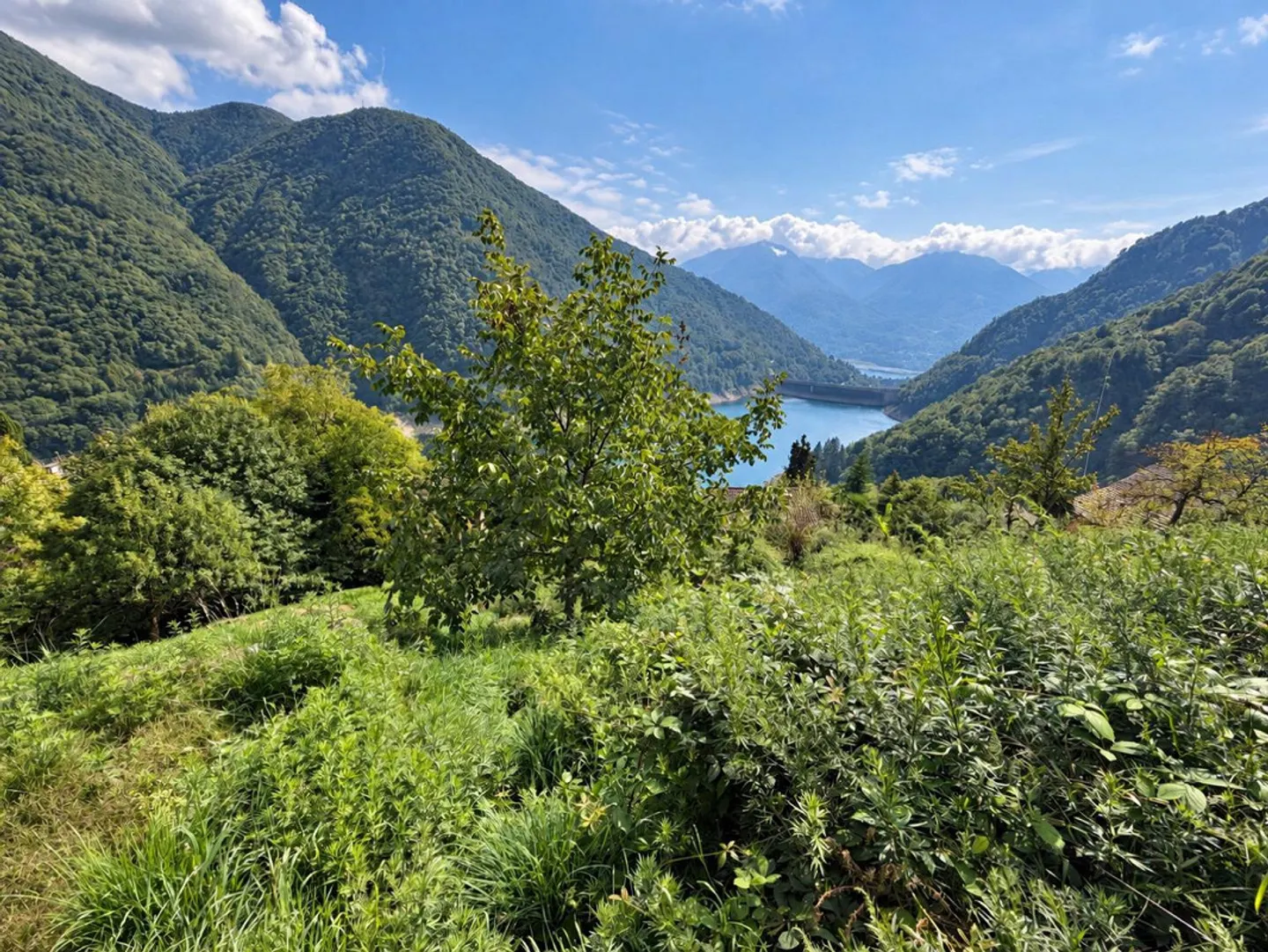 Baugrundstück von 556 m2 in sehr sonniger und ruhiger R2-Zone... - Foto 1 von 15
