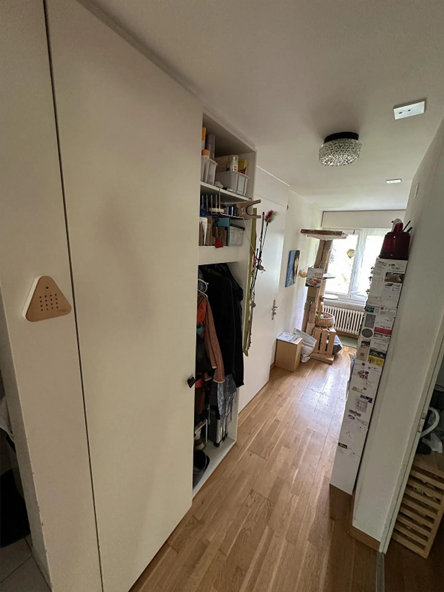 Appartamento ristrutturato di 3,5 stanze - Foto 7 di 12