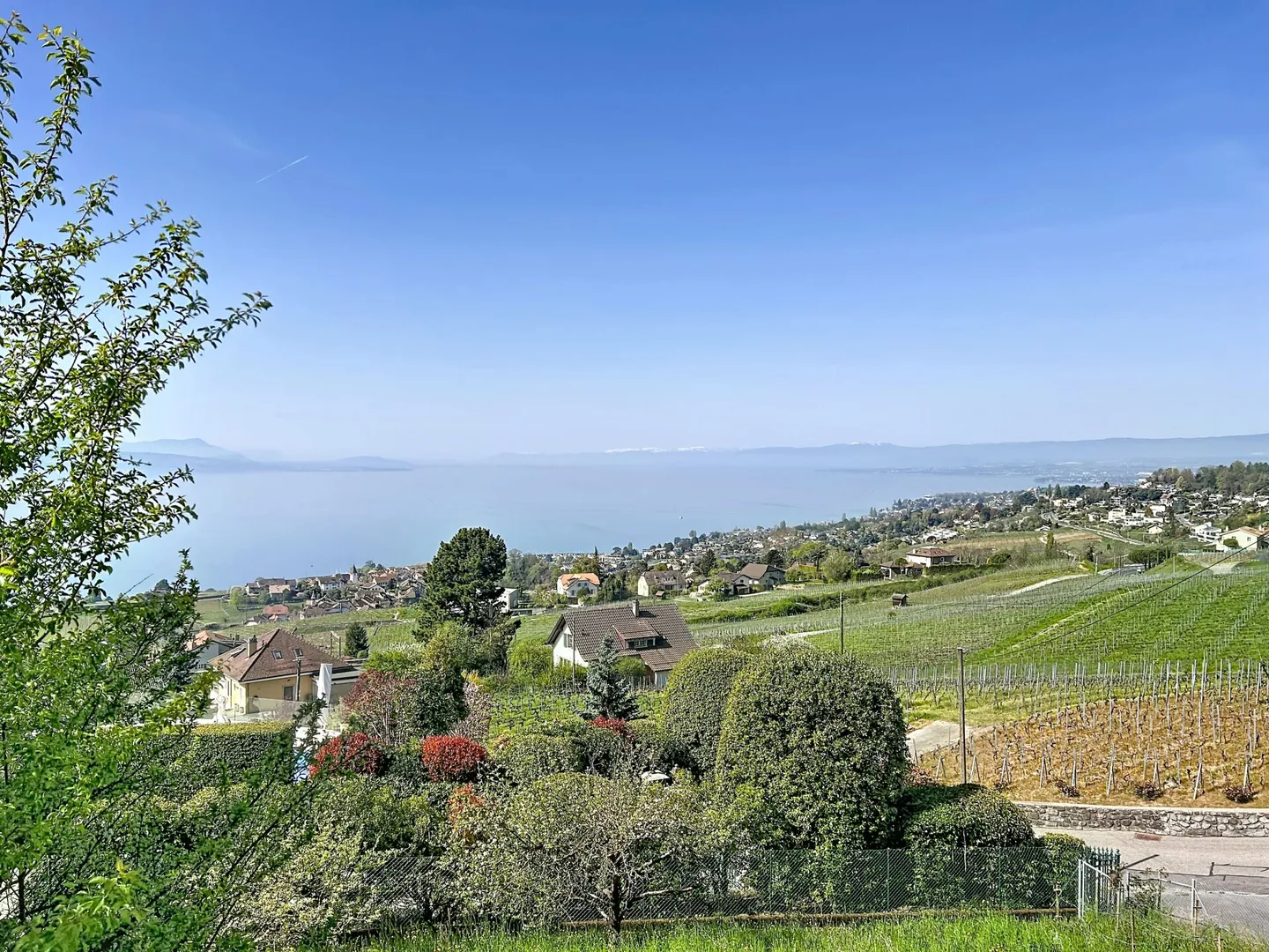 Preferito tra lago e vigneti, in completa intimità - Foto 14 di 14