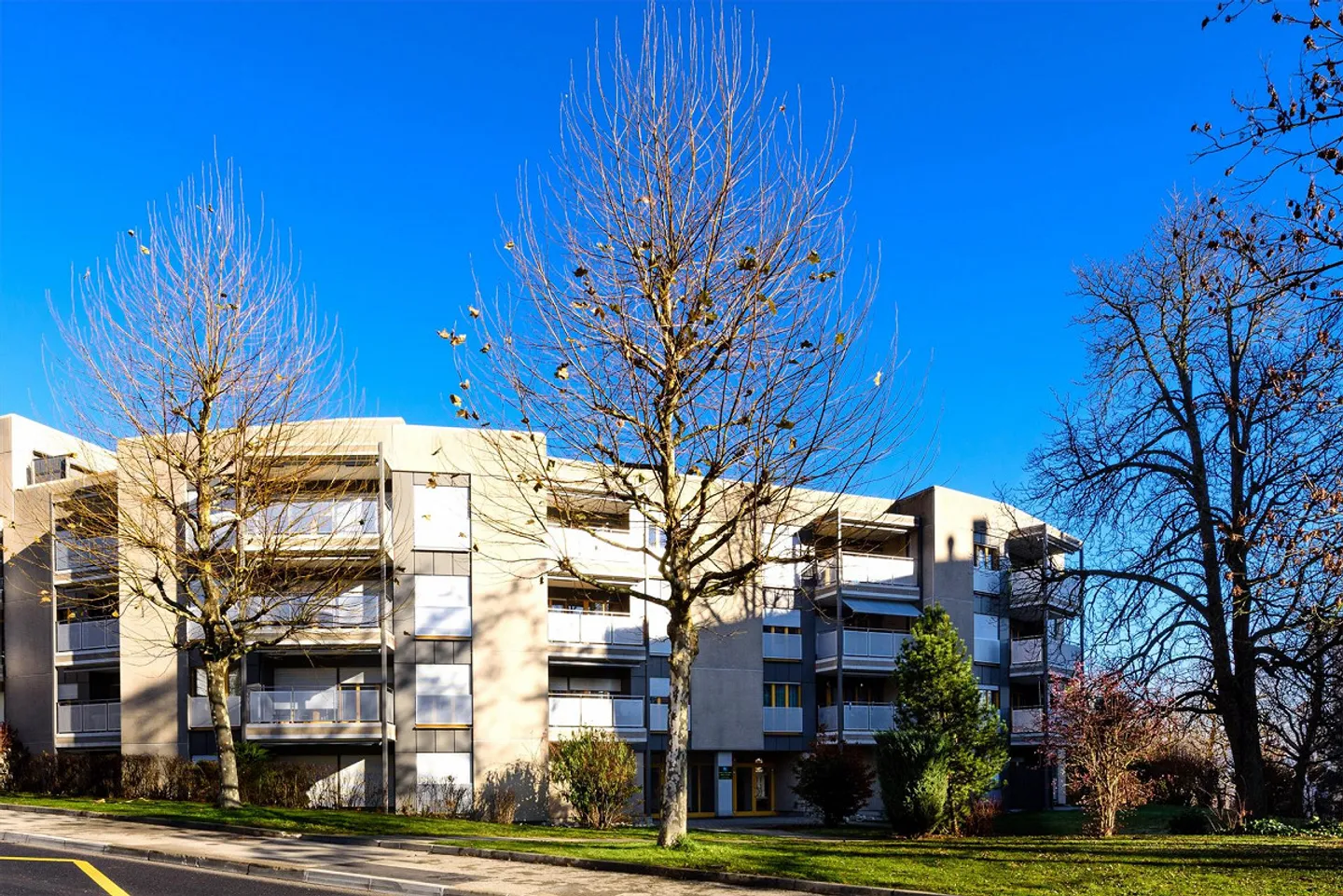 Quiet and Green Area - Photo 4 of 4