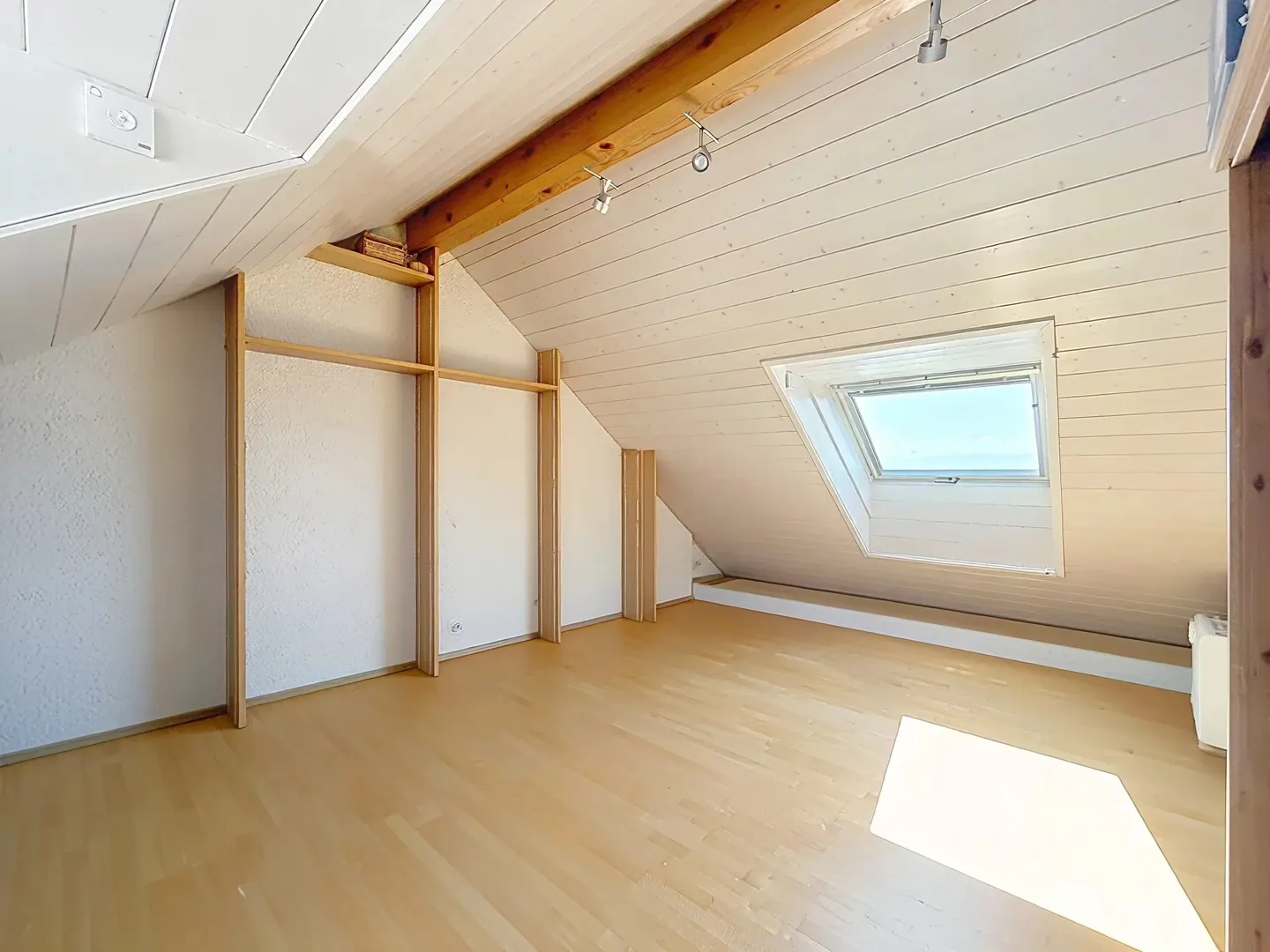 Apartment with panoramic view of the lake and the Alps - Photo 8 of 9