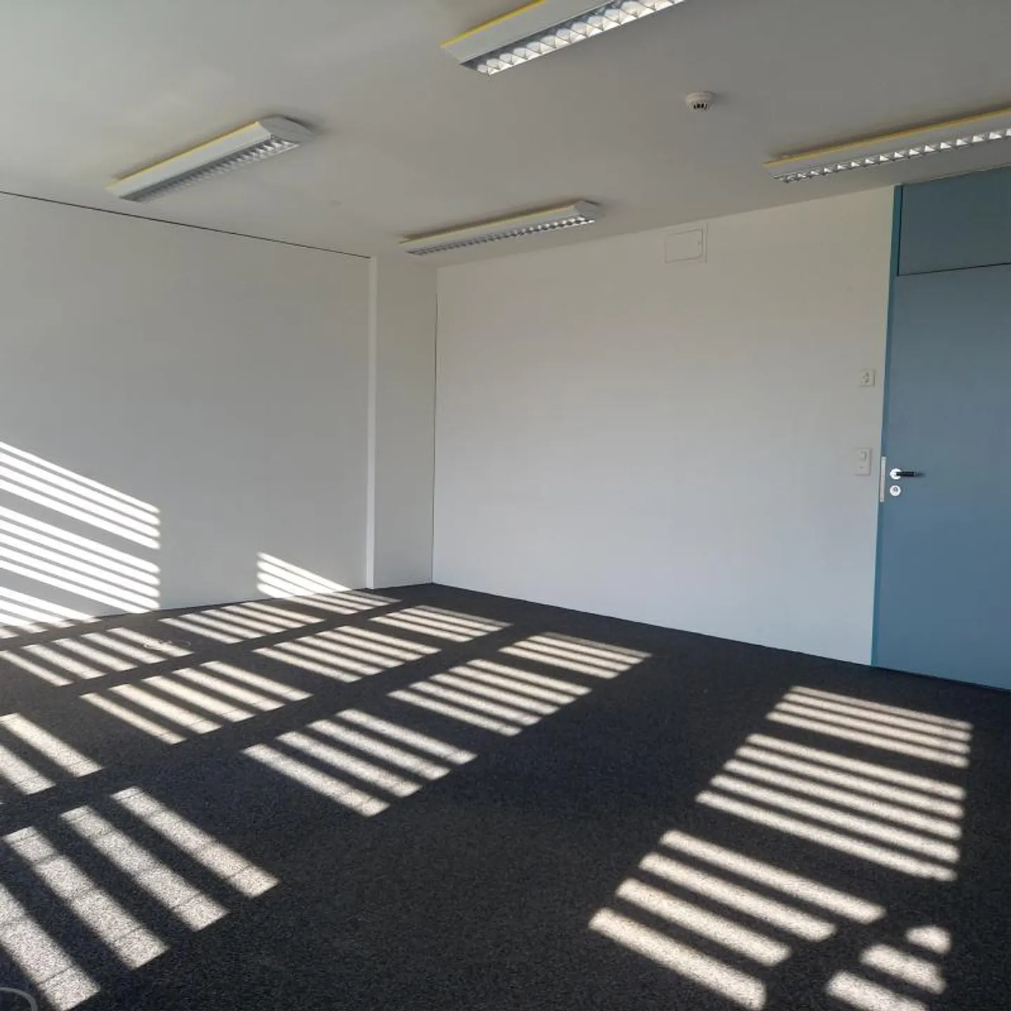 Uffici e Atelier di Diverse Dimensioni - Foto 4 di 9