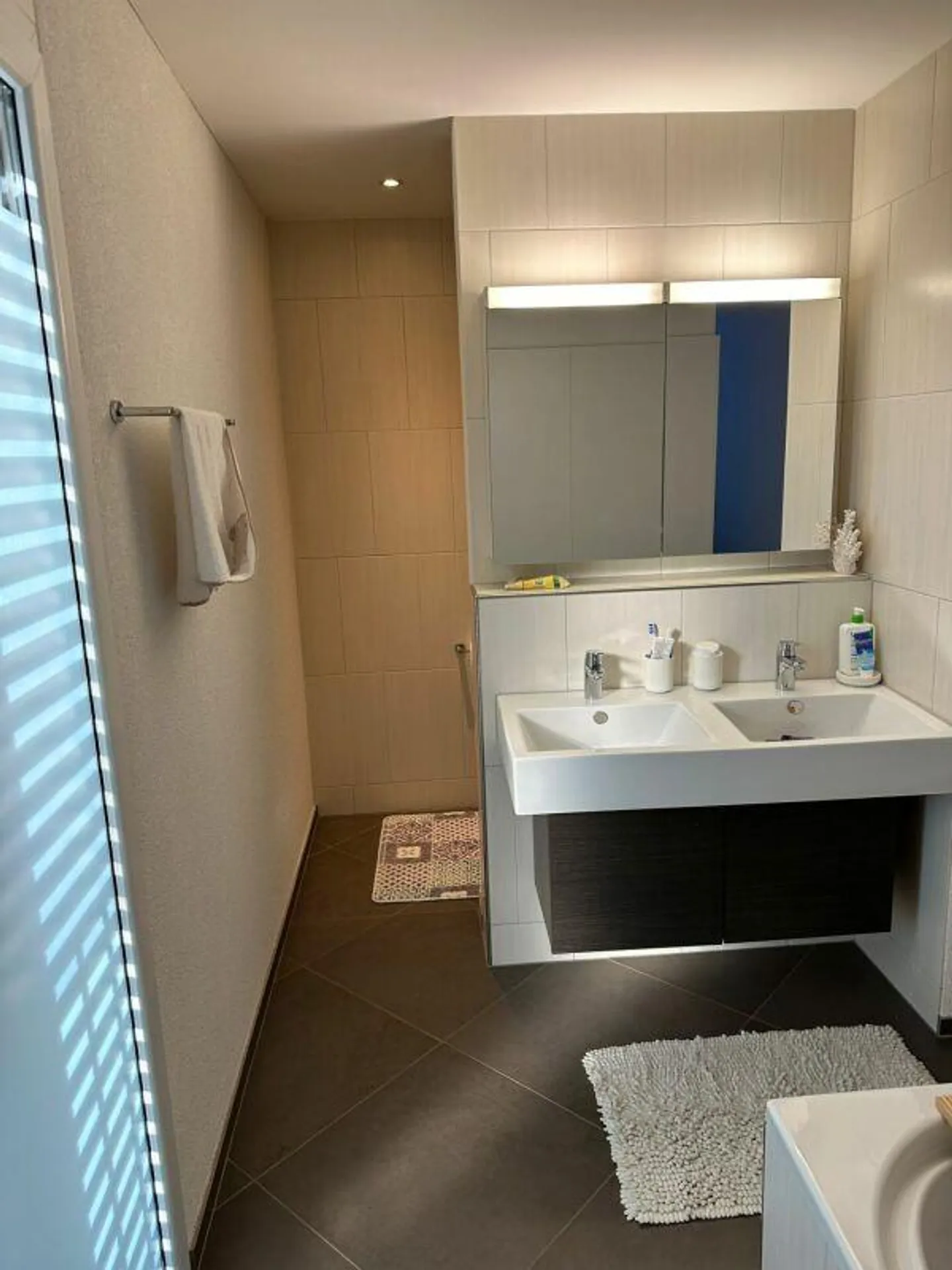 Stunning Attic Apartment in a Quiet Location in Mels for Rent! - Photo 10 of 17