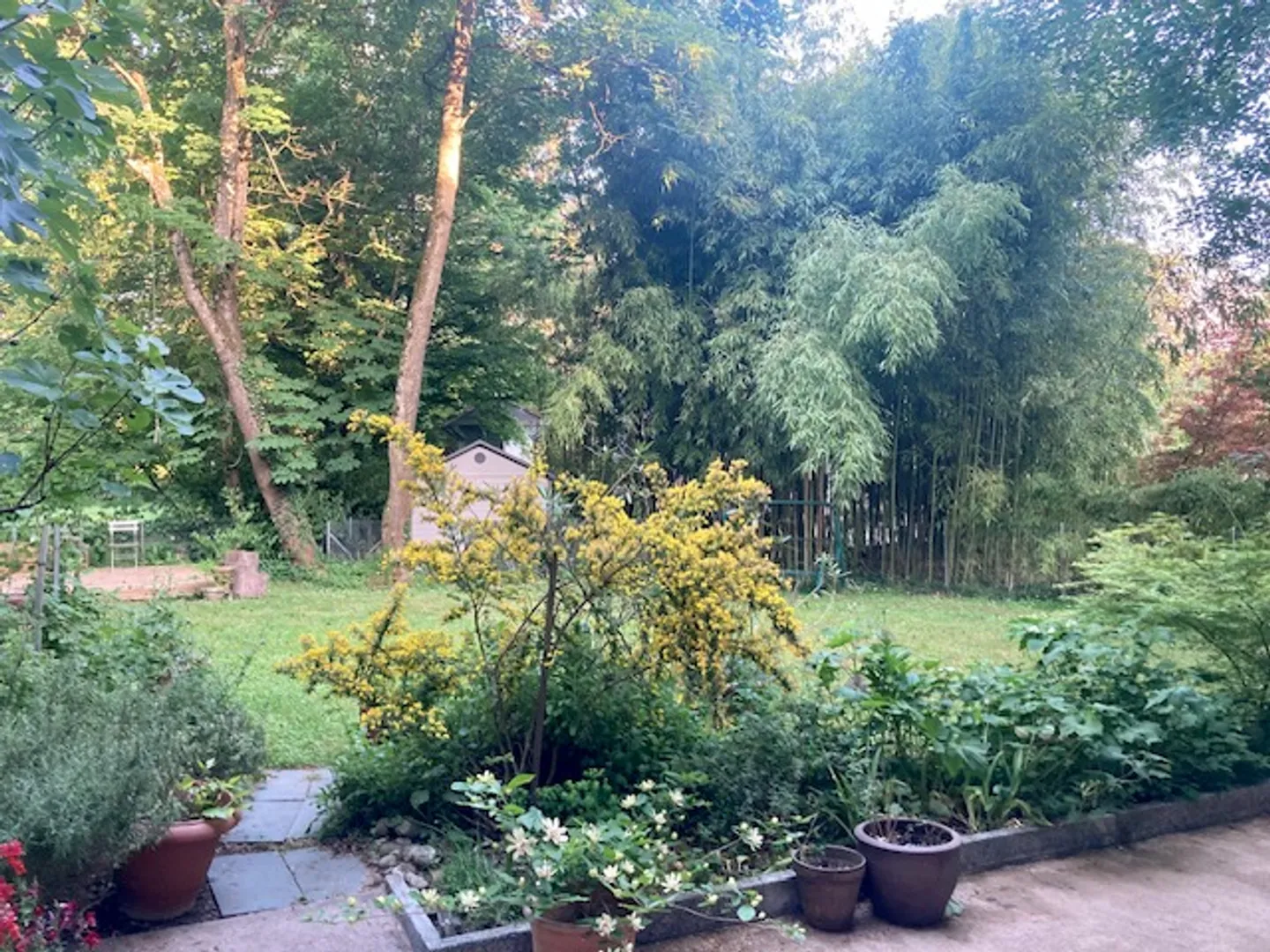 Bella casa del XIX secolo con molto fascino a Champel - Foto 5 di 5