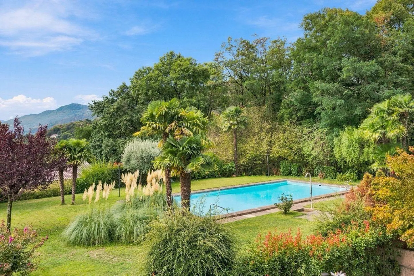 Renovated apartment in residence with swimming pool - Photo 12 of 12