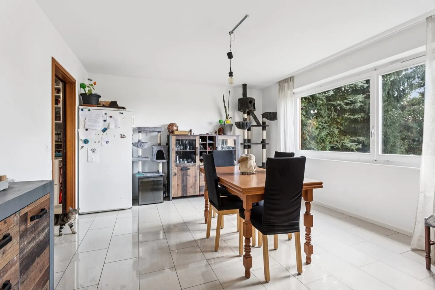 Comfortable and bright ground floor apartment - Photo 1 of 10