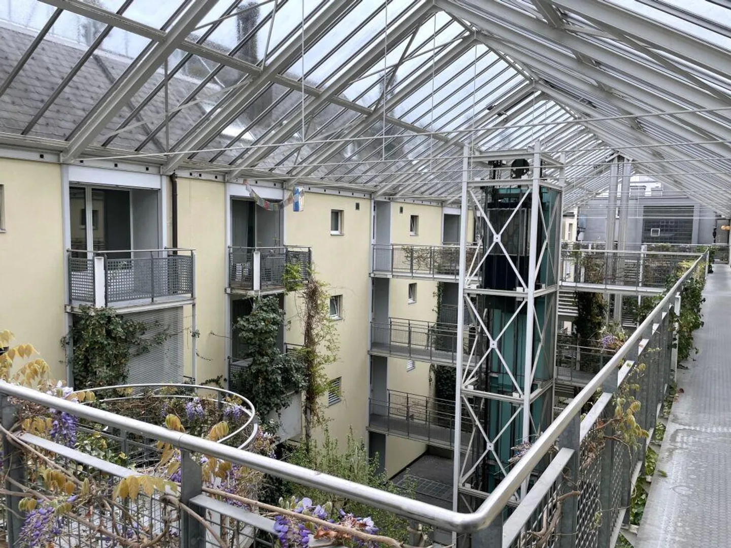 Charmante Wohnung in Luzern - Foto 1 von 7