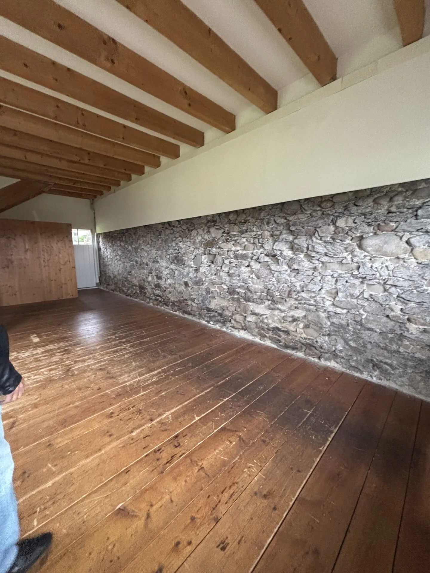Fattoria convertita indipendente con parte residenziale/commerciale nella zona di conservazione - Foto 14 di 23