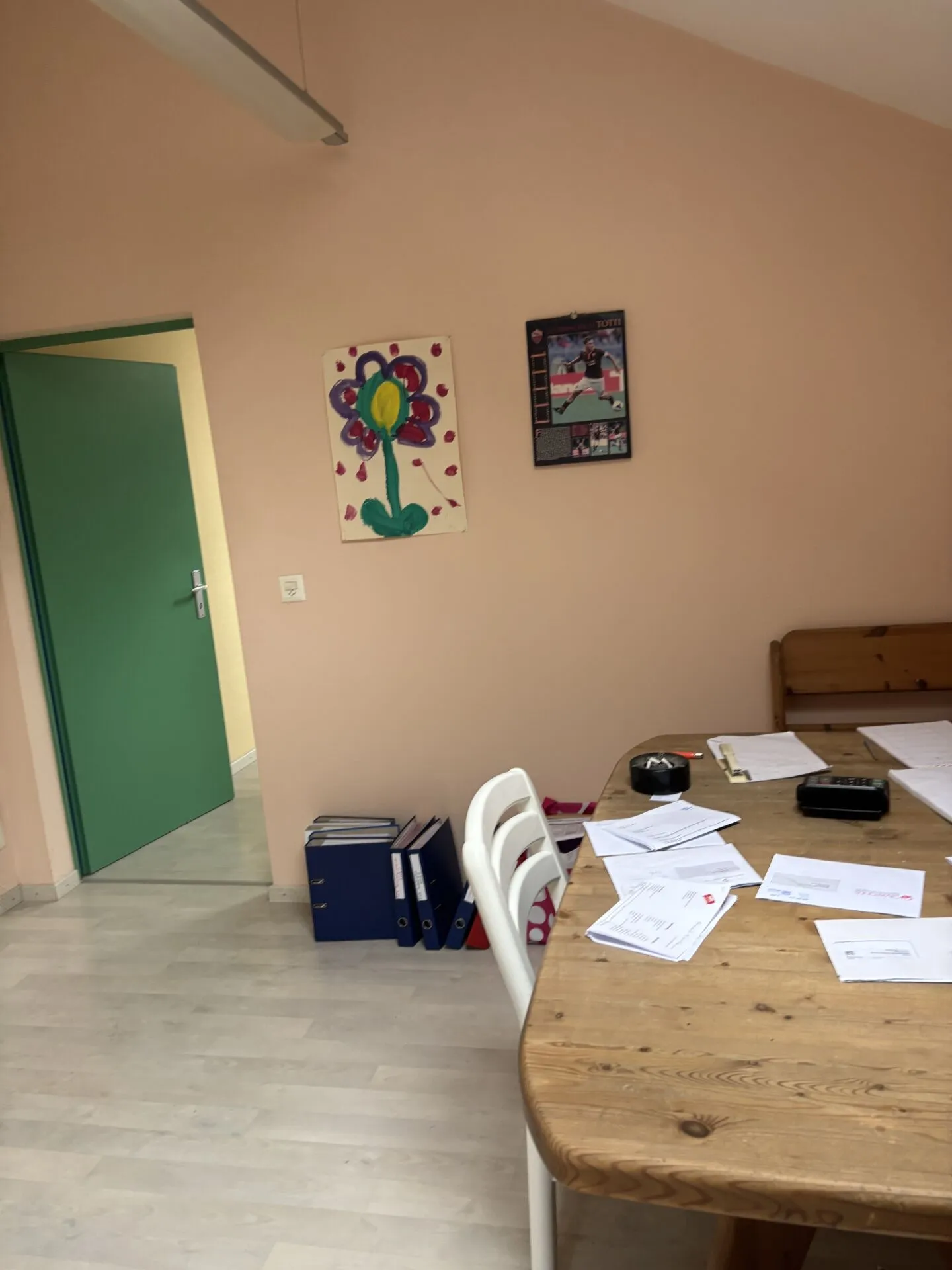 Fattoria convertita indipendente con parte residenziale/commerciale nella zona di conservazione - Foto 20 di 23