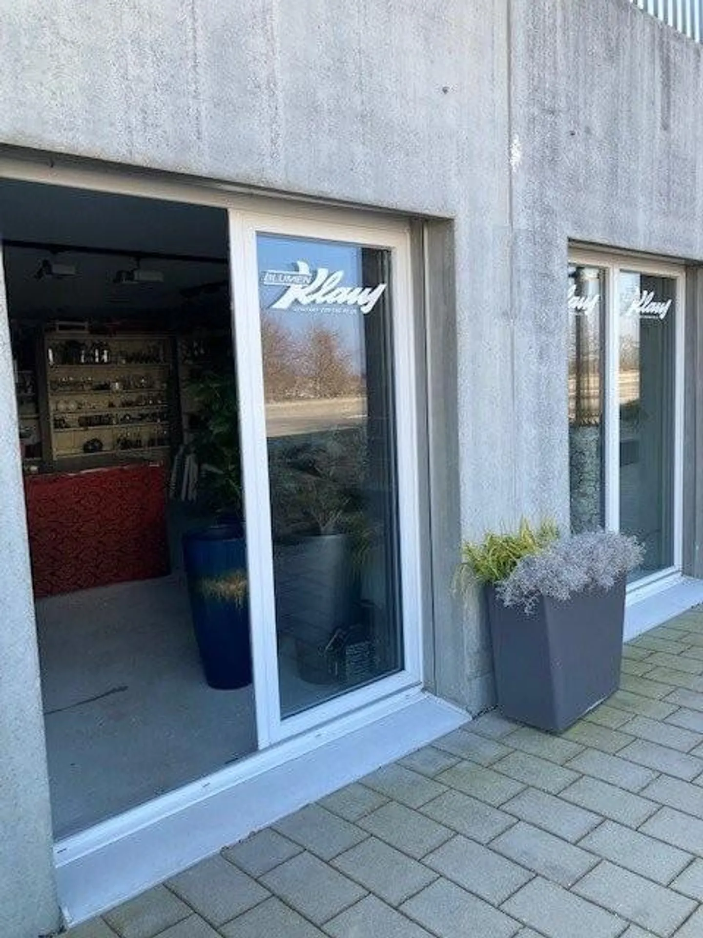 Studio - Commercial space on the ground floor in a perfect location - Photo 3 of 5