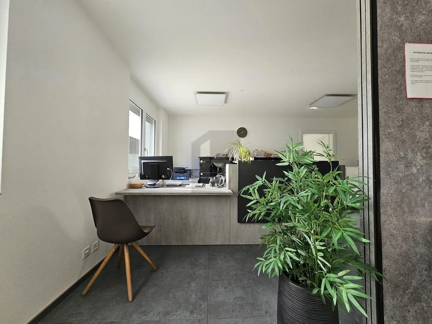 VETRINA BEN ESPOSITATA E POSSIBILITÀ MULTIPLE - Foto 2 di 6