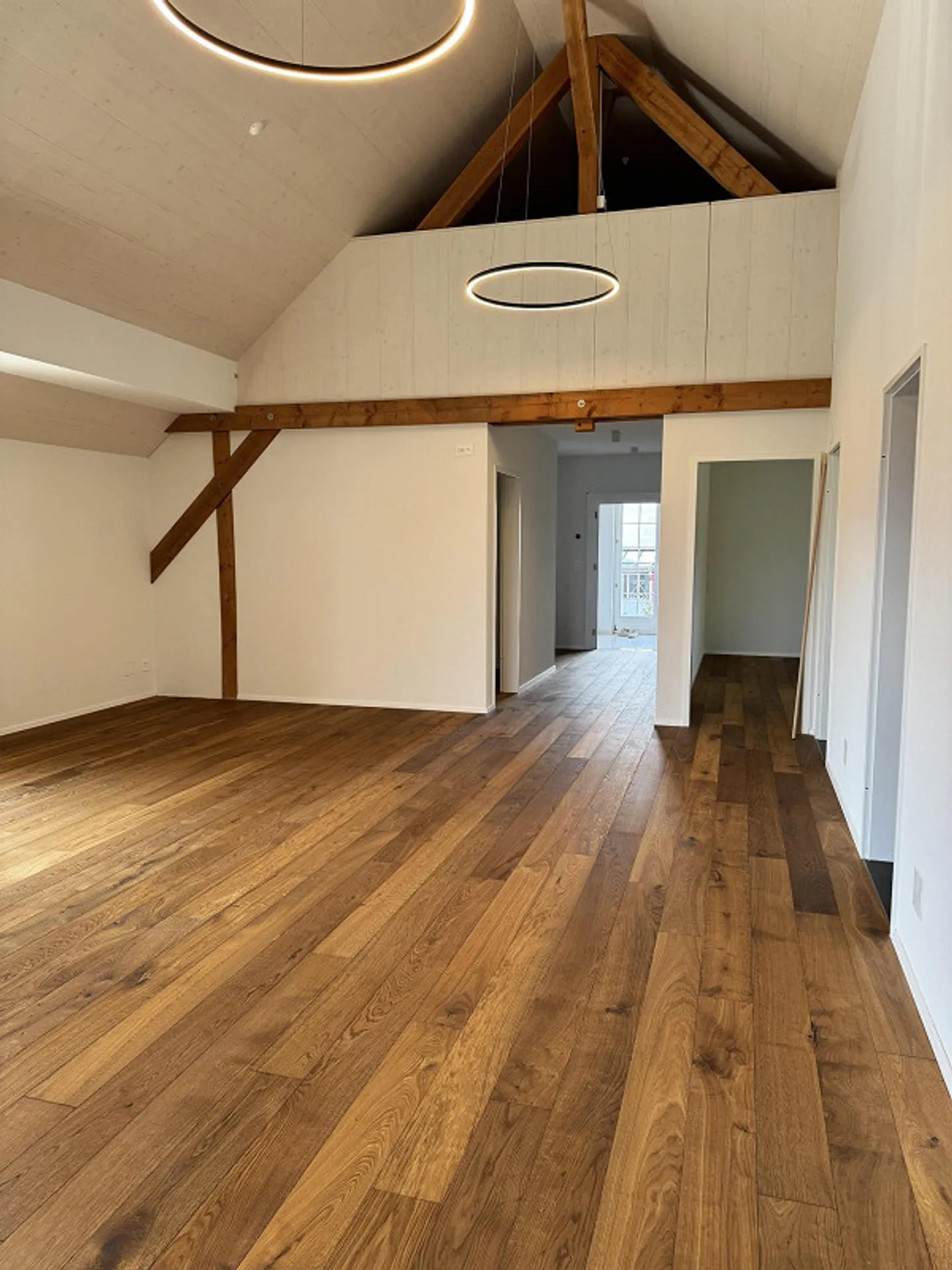 Geräumiges neues Penthouse in Röschenz - Foto 3 von 15