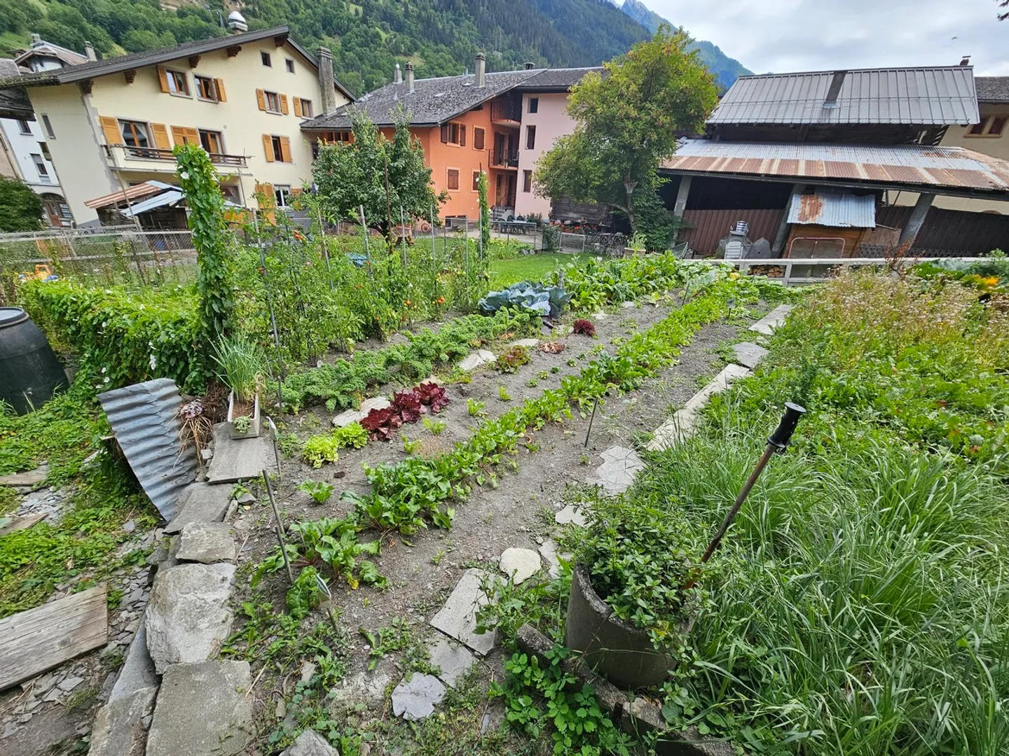 Appartamento in affitto - Foto 4 di 5