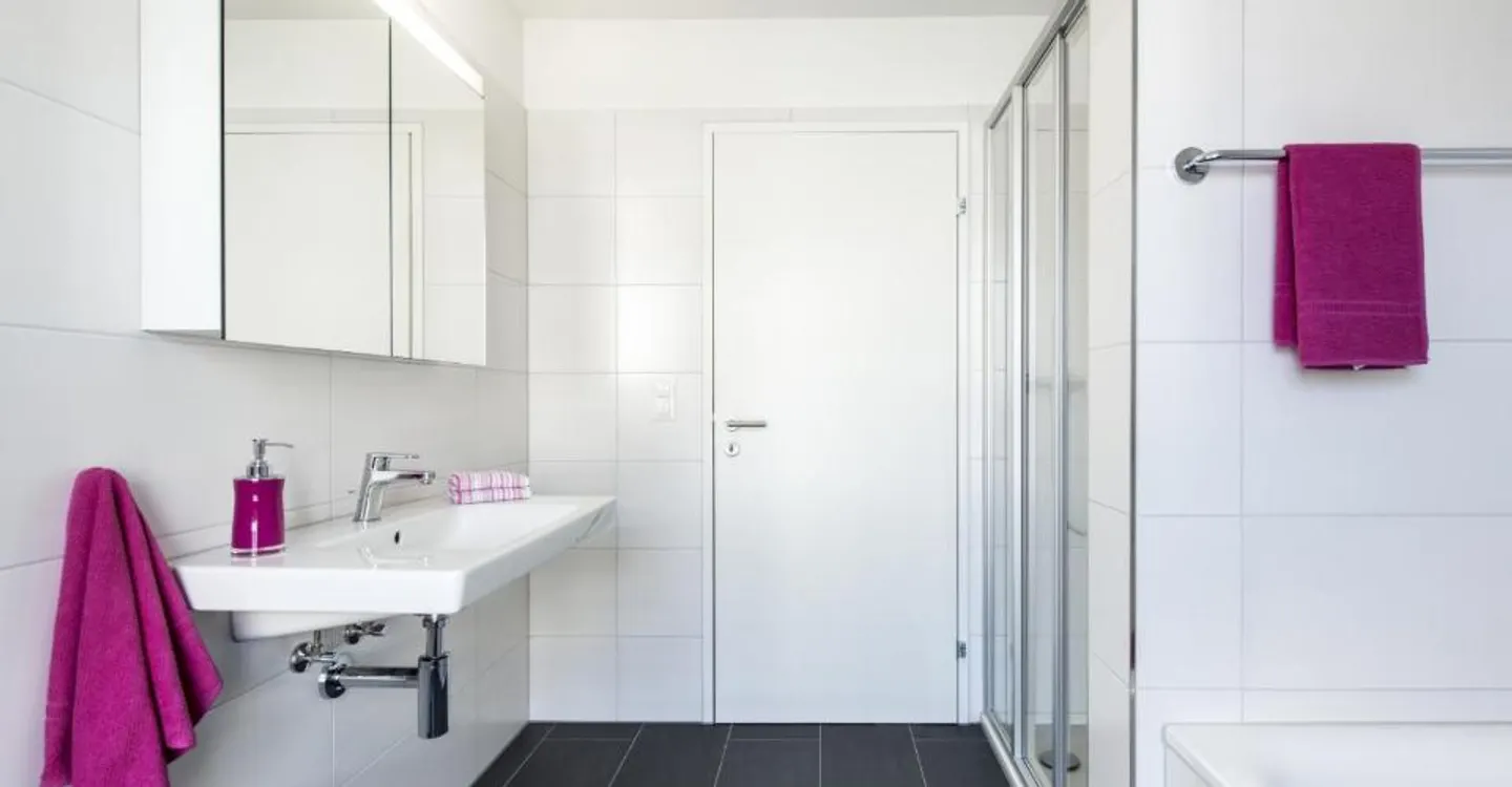 Modern Apartment in Reinach AG - Photo 5 of 7
