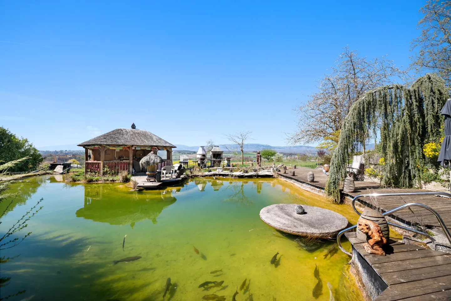 Proprietà rurale ad alto potenziale e redditività - Foto 1 di 27