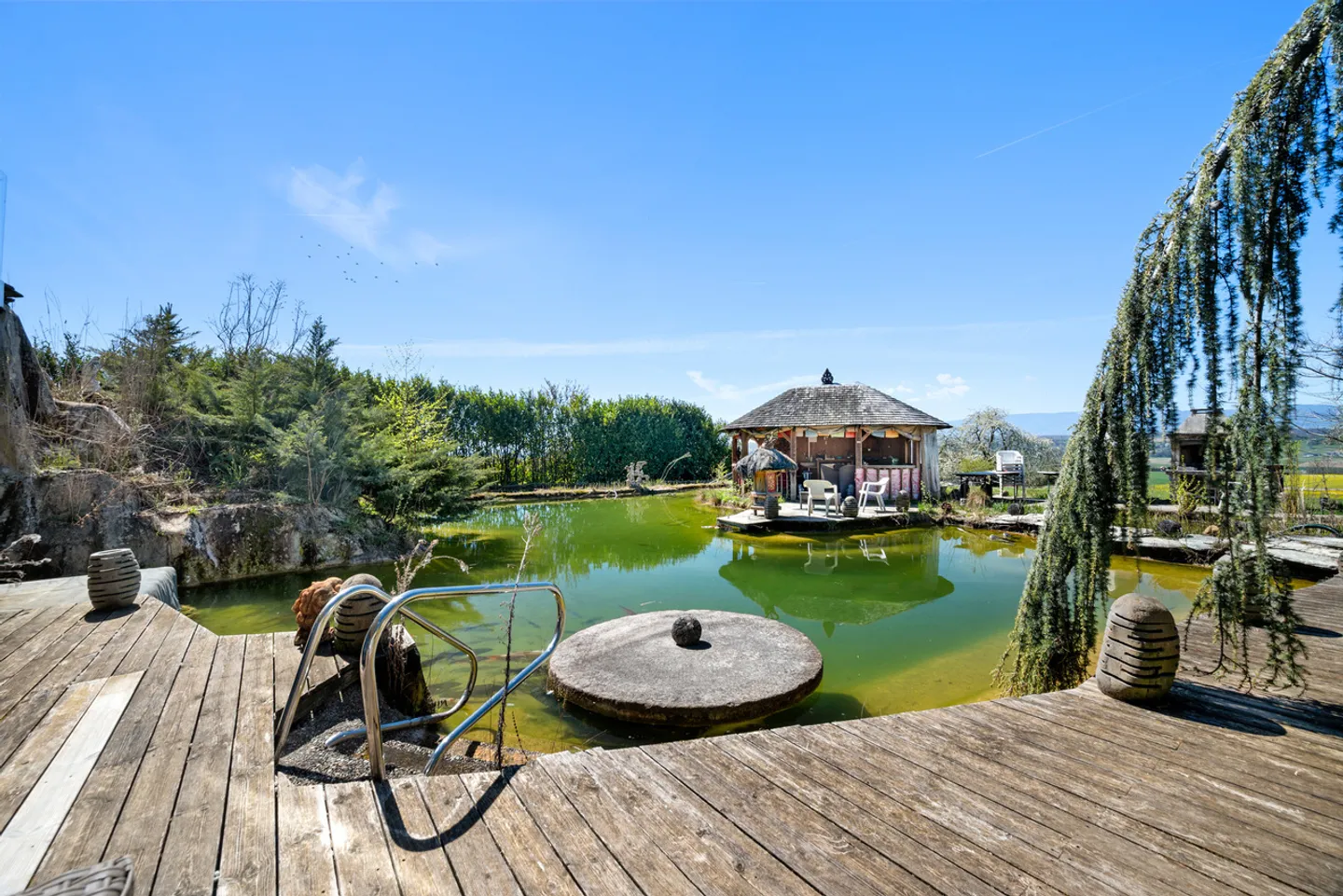 Proprietà rurale ad alto potenziale e redditività - Foto 4 di 27