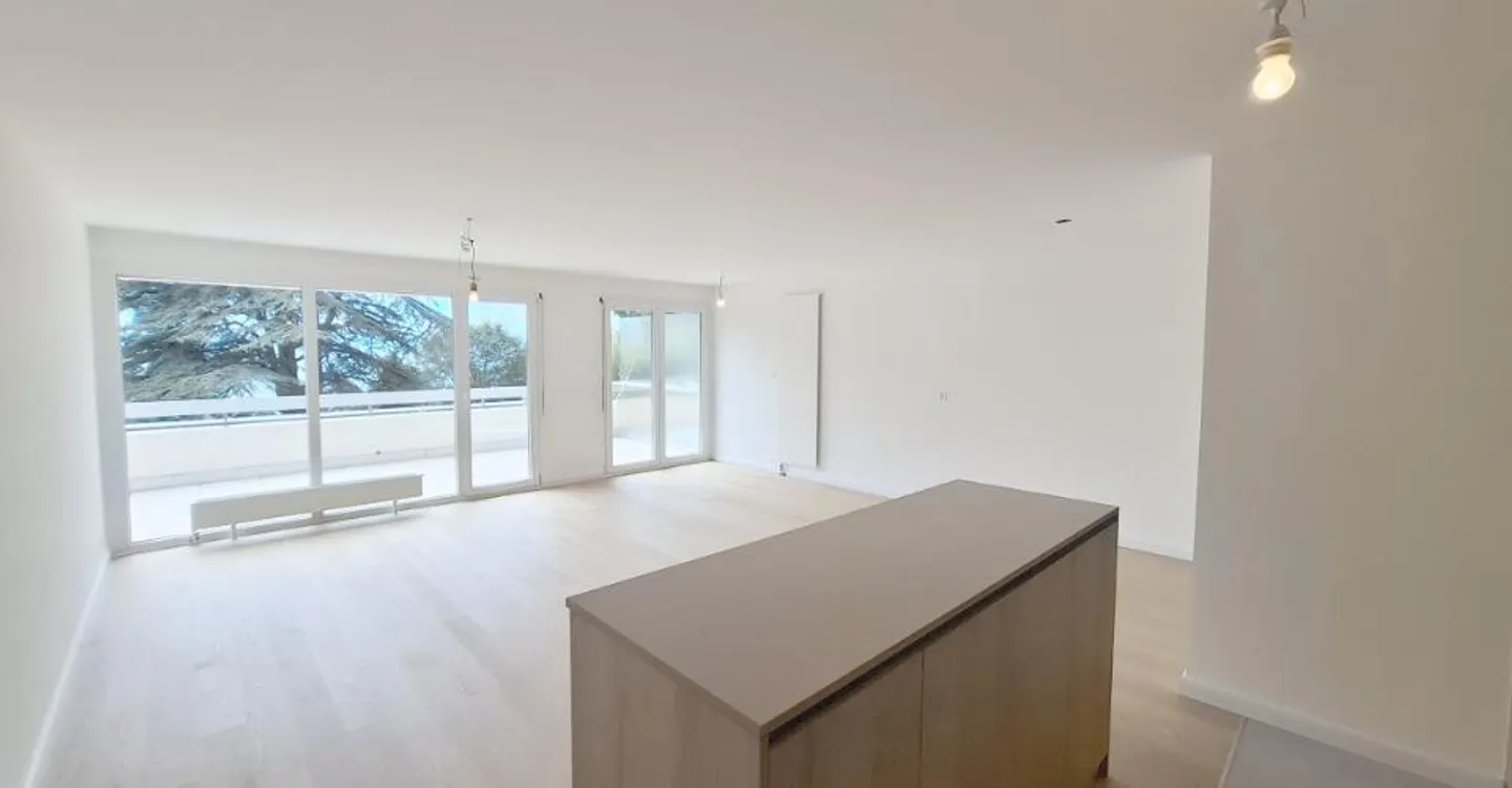 Appartement Charmant avec Vue sur le Lac - Photo 11 sur 13