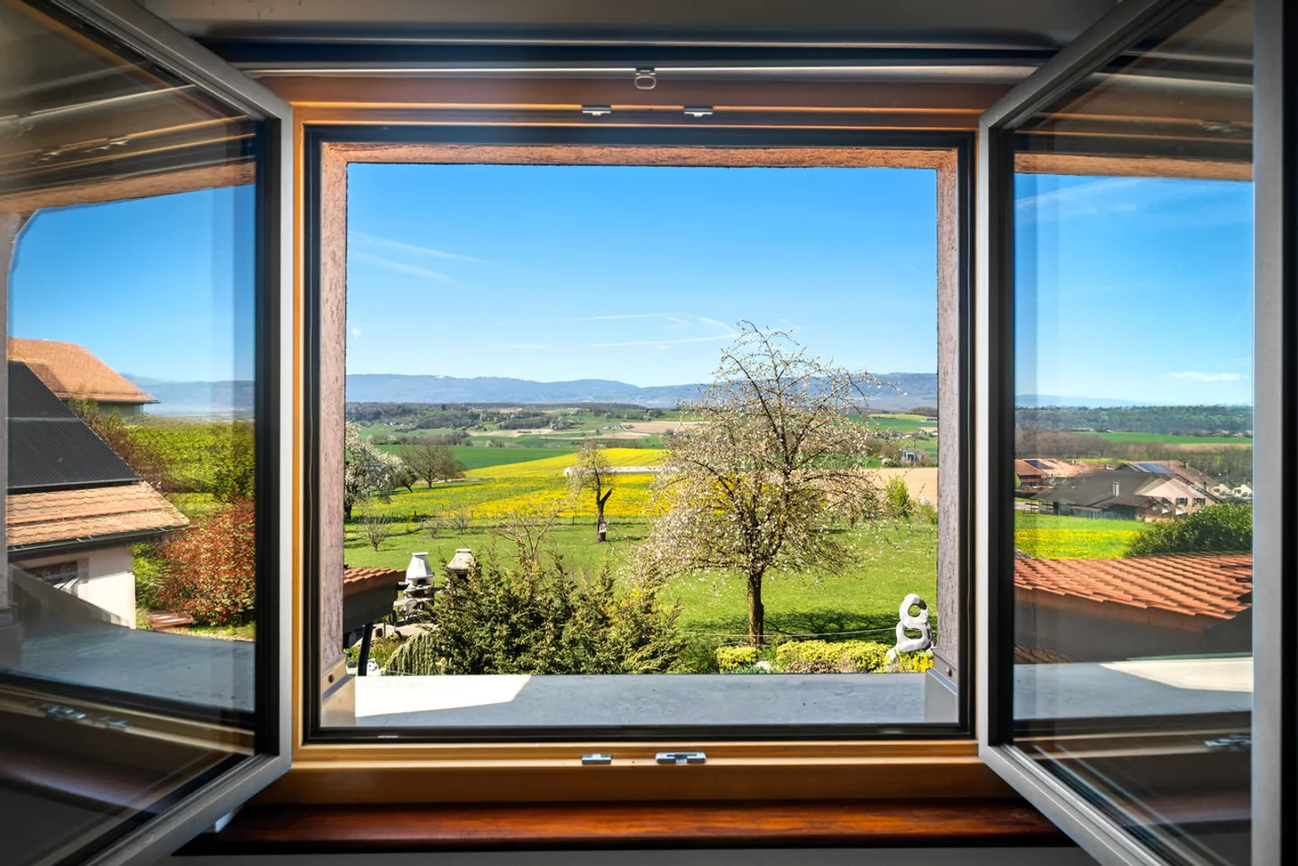 Proprietà rurale ad alto potenziale e redditività - Foto 21 di 27