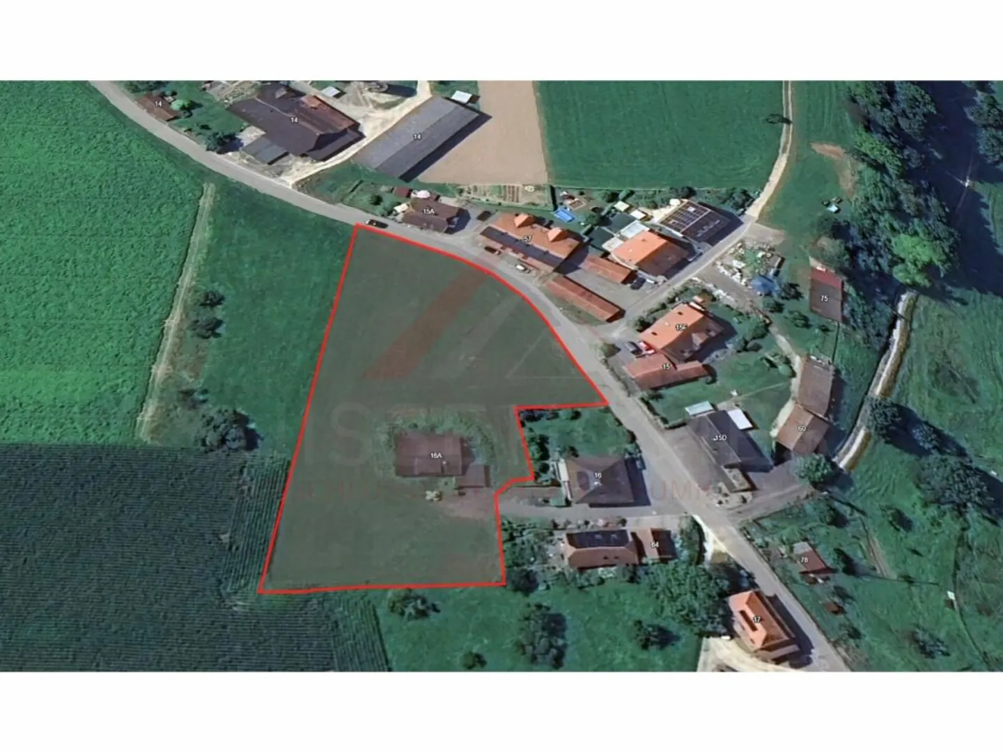 Casa singola in affitto - Foto 4 di 6