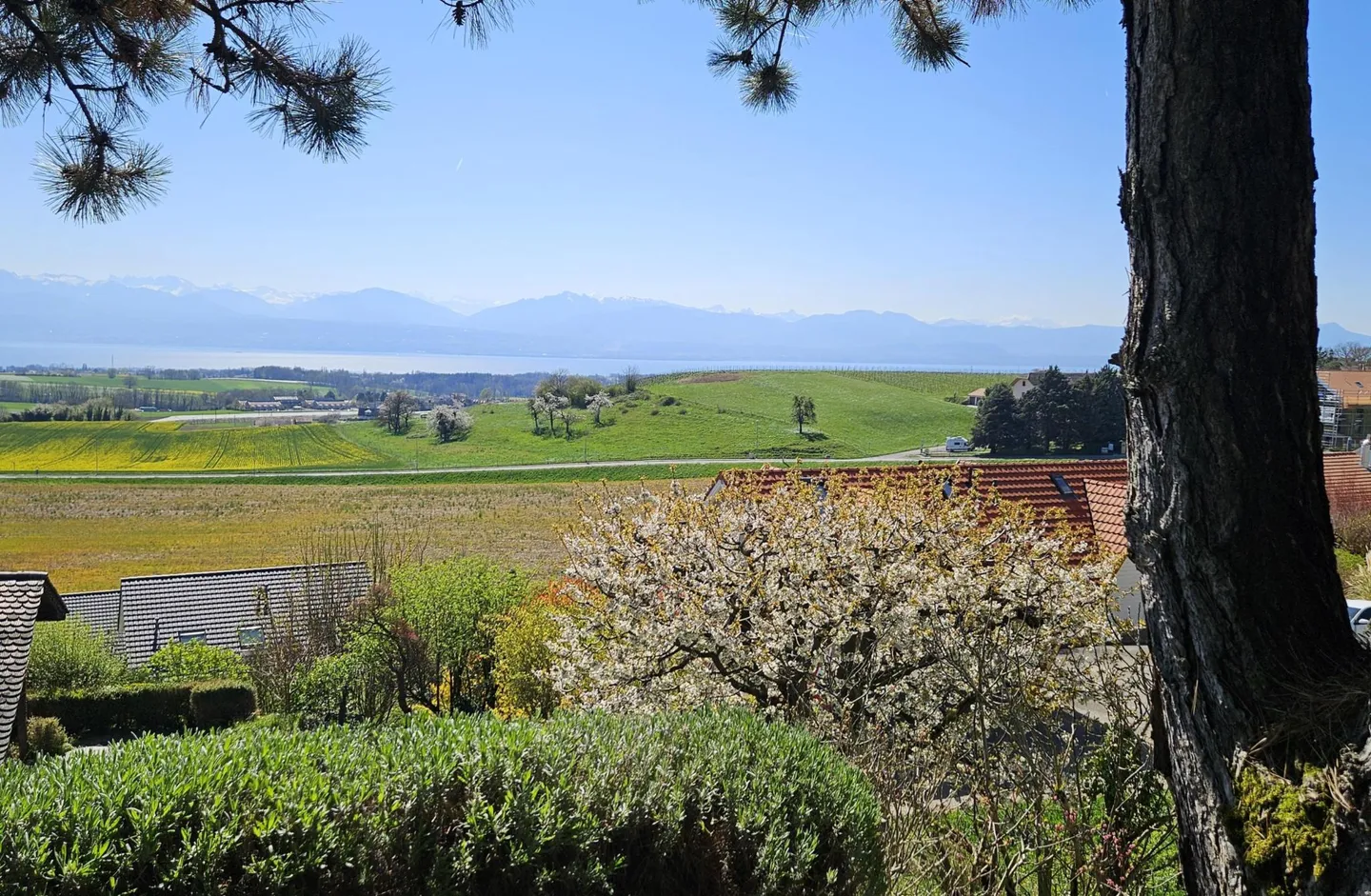 View of the Lake Large Detached Villa in Yens s/Morges - Photo 20 of 20