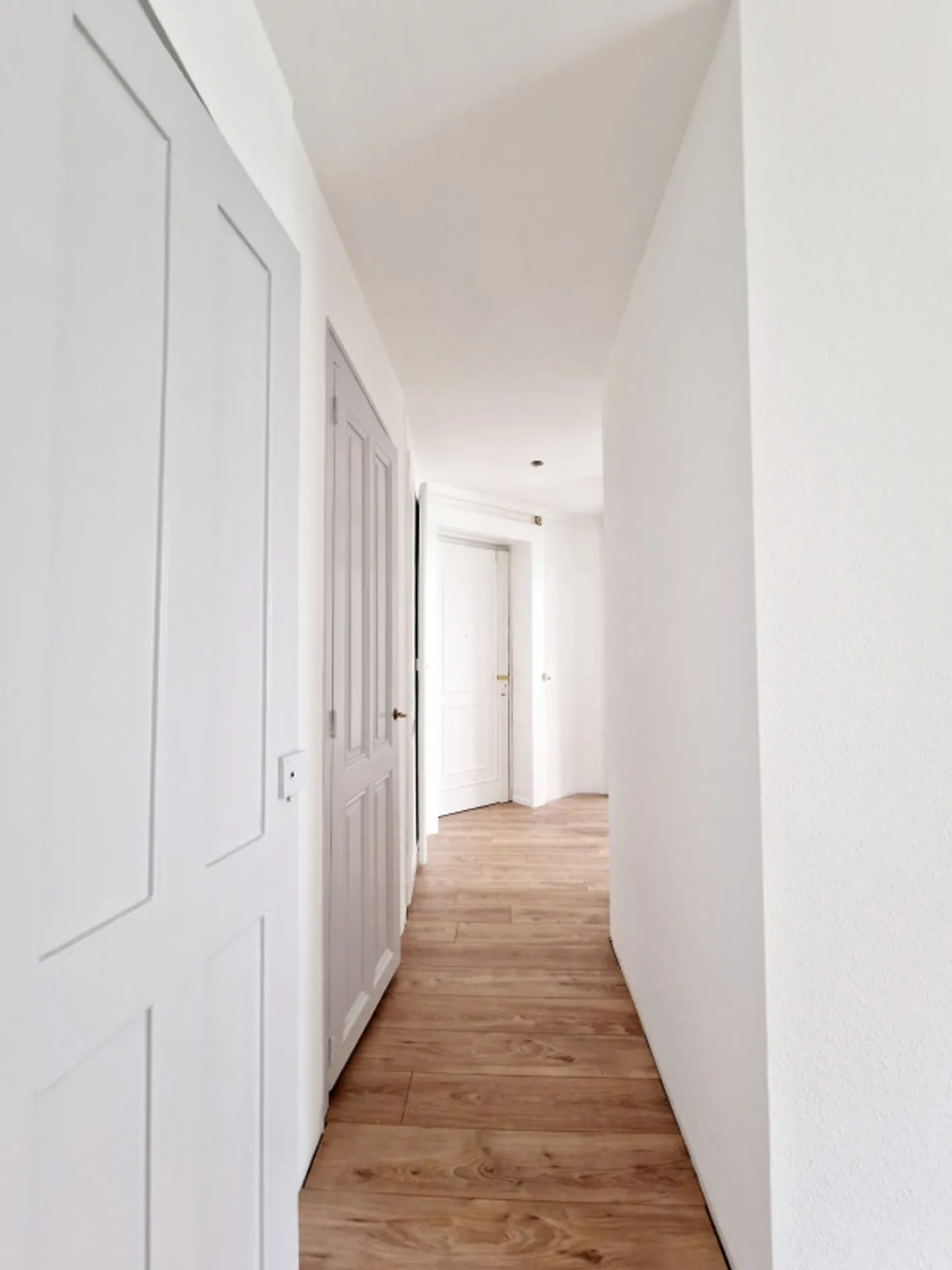 Bright 4-room apartment renovated in 2025 / high ceilings and elevator, Plainpalais - Photo 4 of 10
