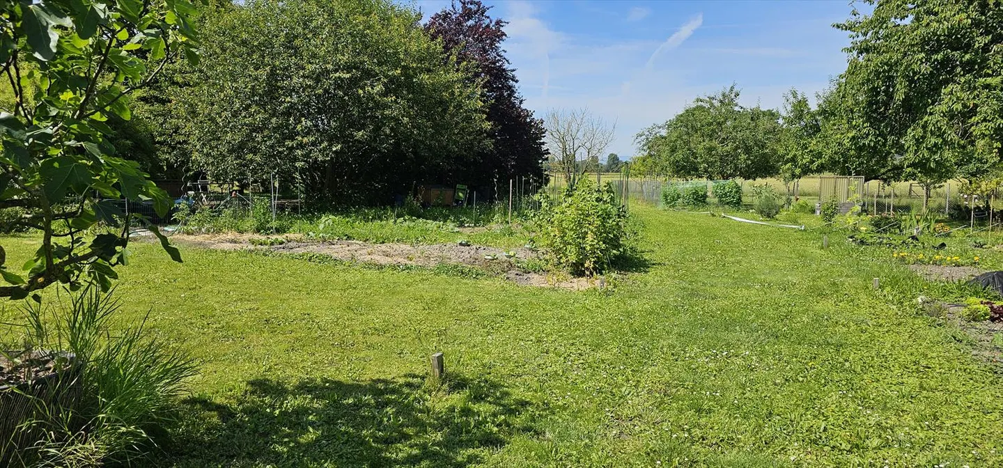 Giardino familiare - Foto 2 di 4