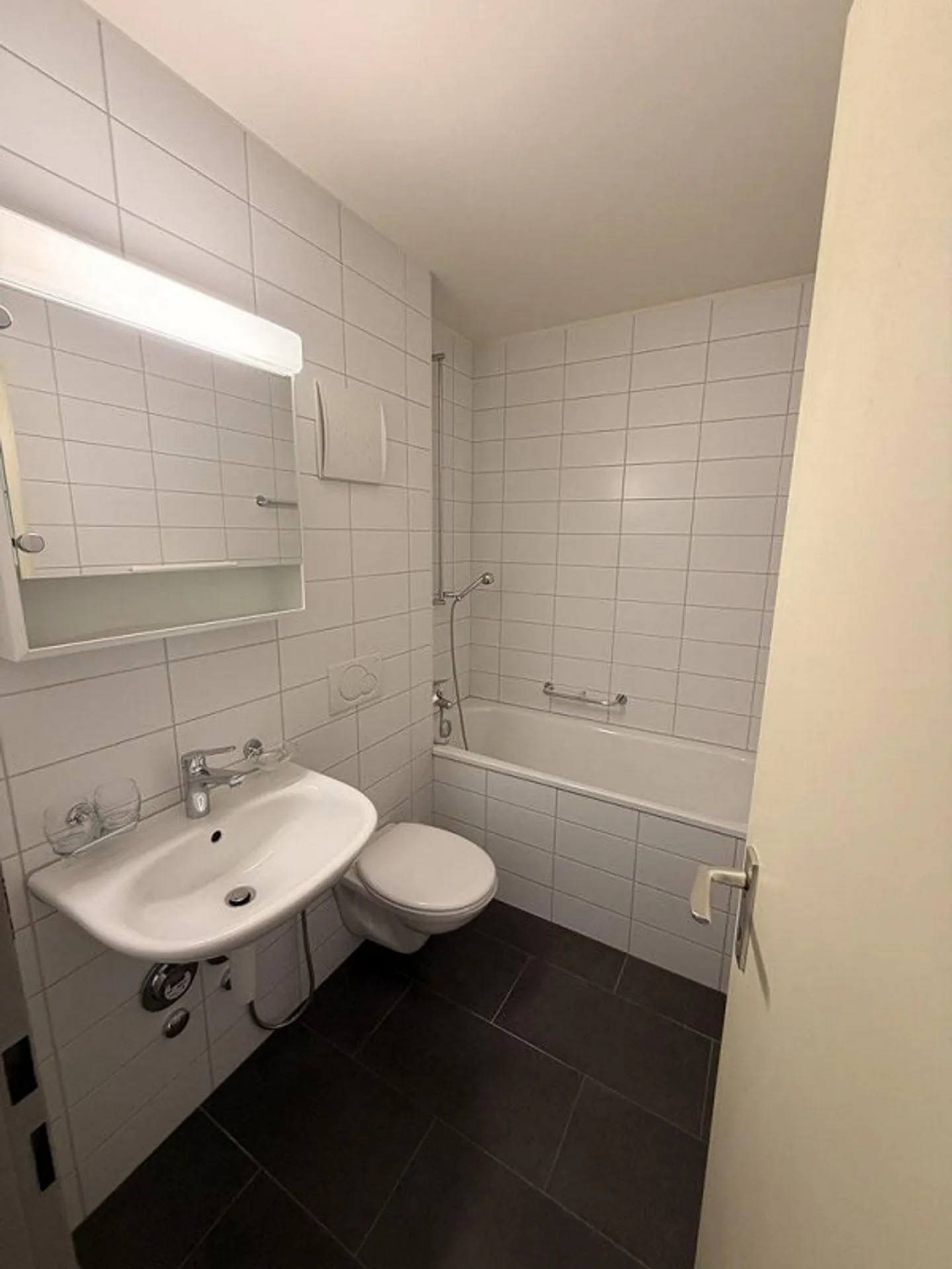 Bel appartement en rez-de-chaussée ensoleillé à Birsfelden - Photo 4 sur 8