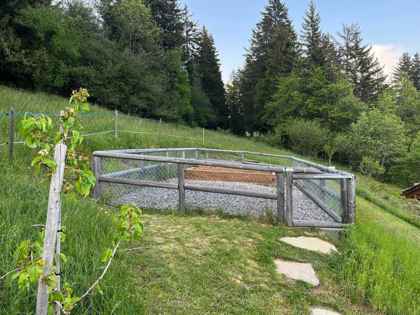 Extraordinary Chalet in the Heart of Nature - Arbaz / Anzère - Photo 12 of 13