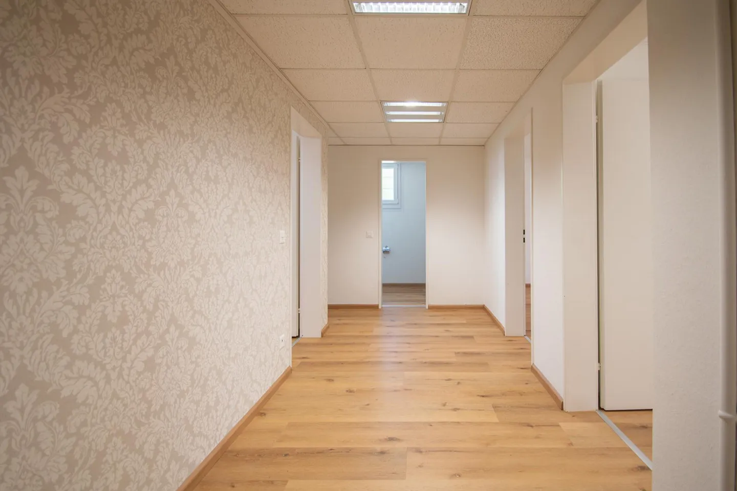 Atelier mit Tageslicht - Foto 6 von 8