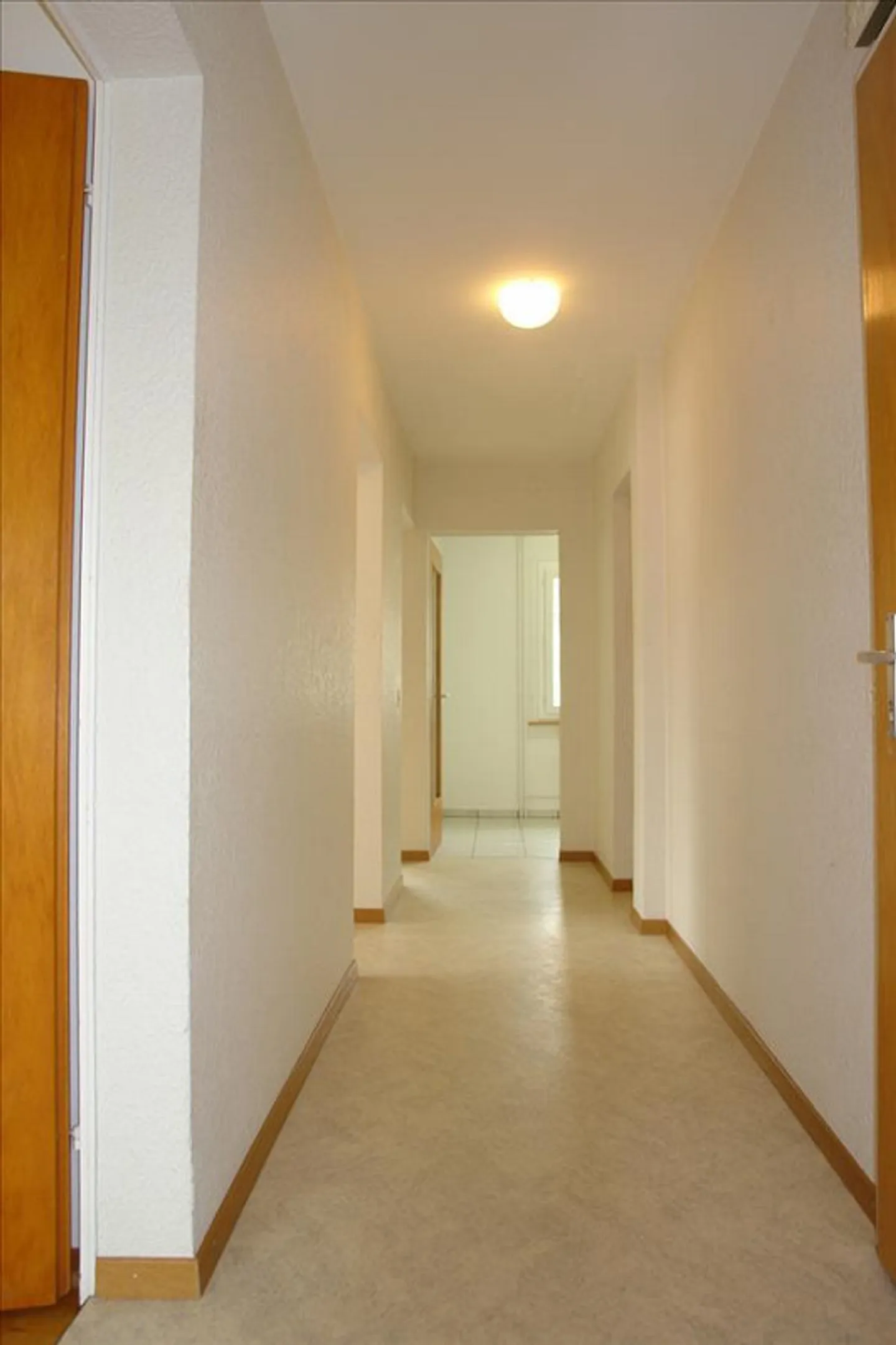 Living in the Steinhof Quarter - Photo 5 of 5