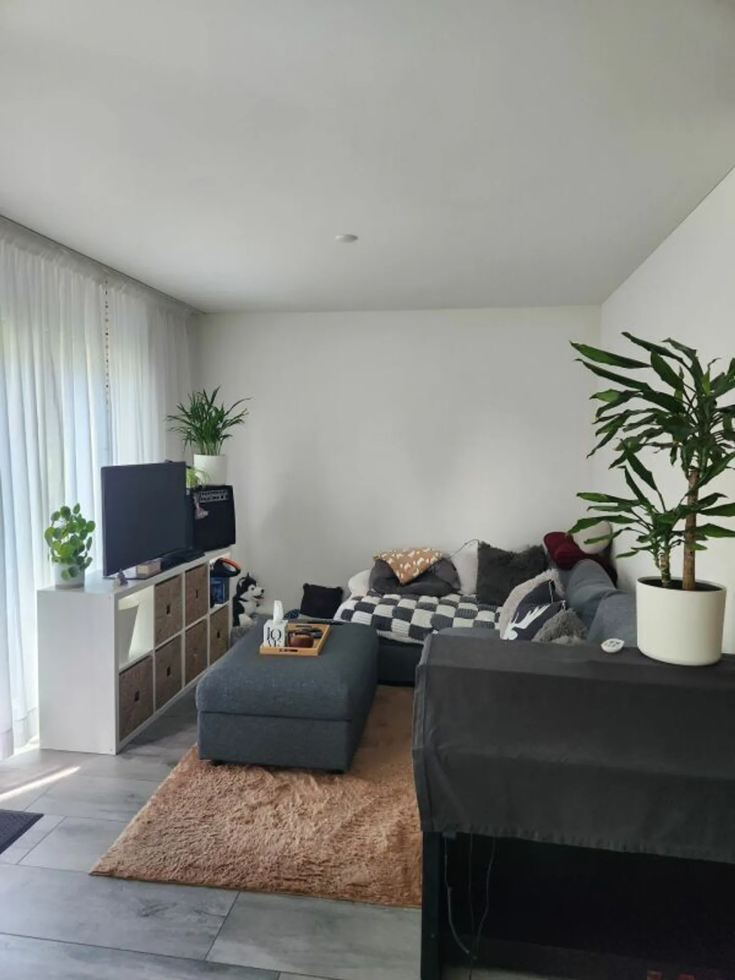 Cozy Apartment with Garden - Photo 2 of 8