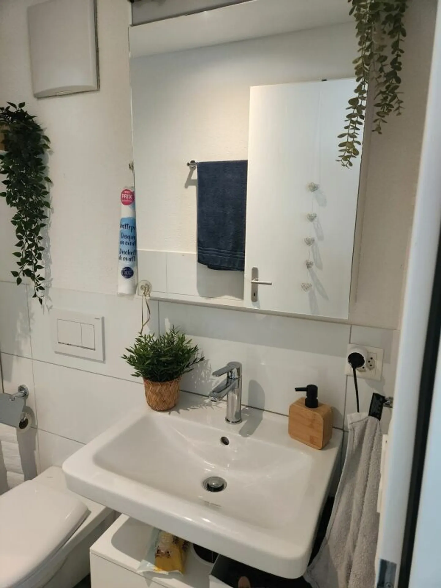 Cozy Apartment with Garden - Photo 8 of 8