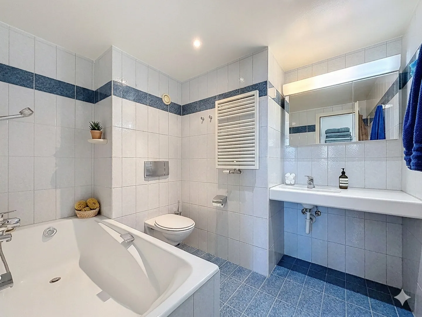 3.5 locali con vista mozzafiato sul Lago di Ginevra - Foto 9 di 13