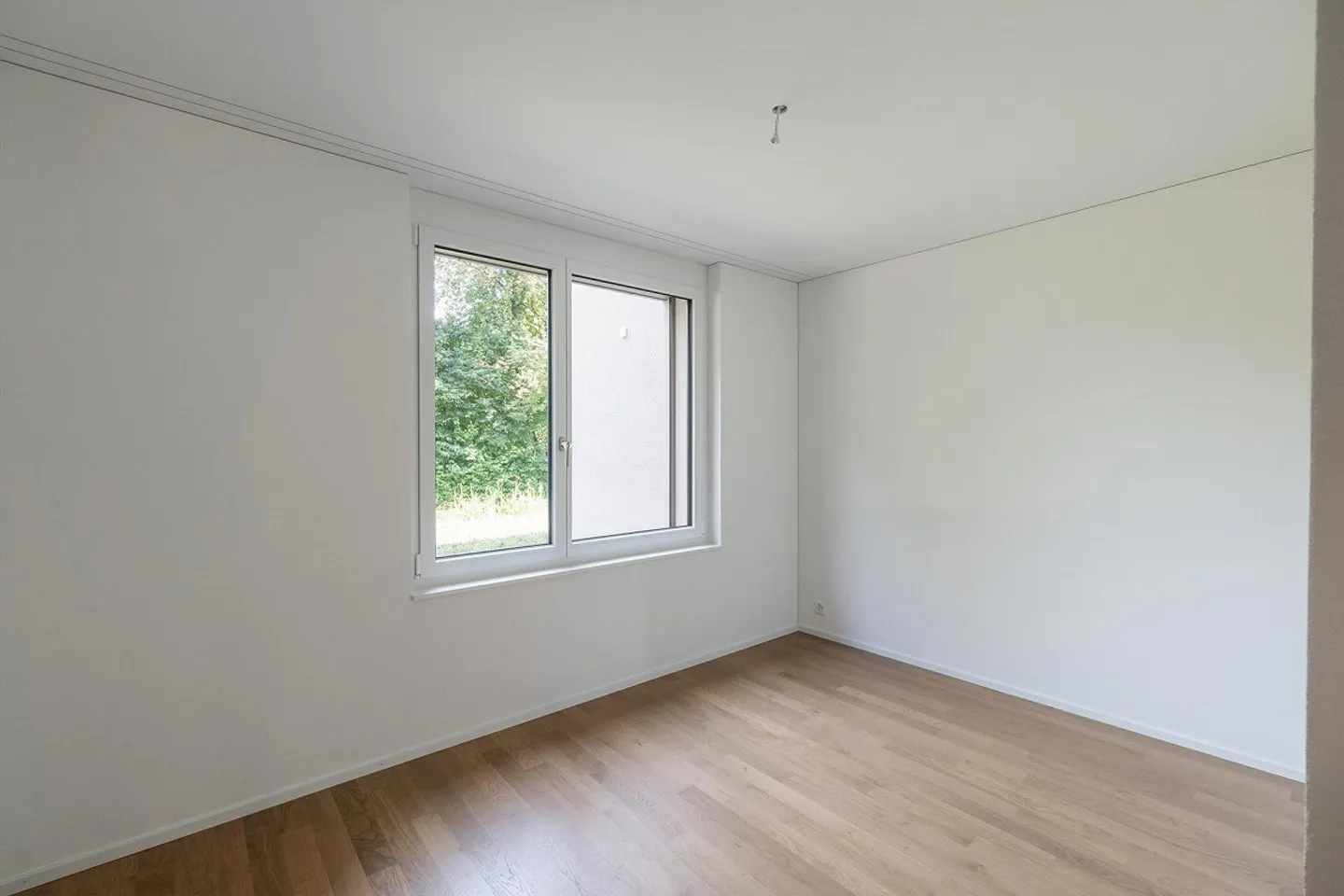 Special 1-room free! - Photo 8 of 11