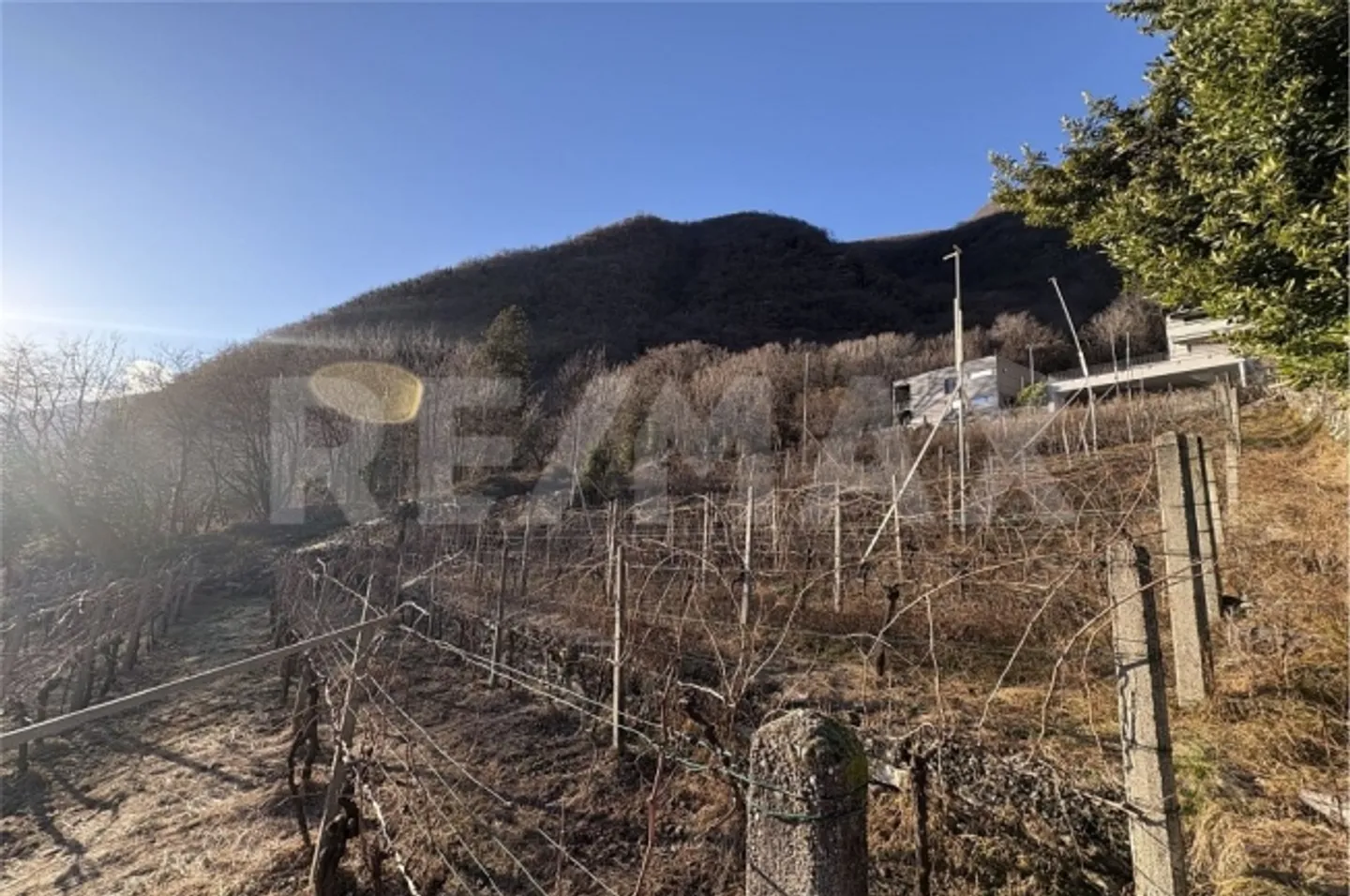 2.5 Room apartment - Photo 9 of 13