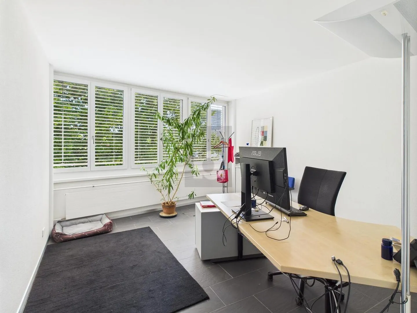 Espace de bureau moderne à Wallisellen - Photo 1 sur 6