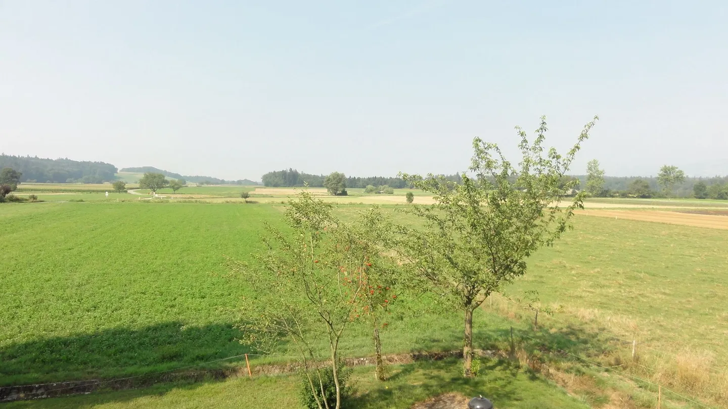 Appartement de 3 1/2 pièces dans un endroit calme avec vue sur la verdure - Photo 9 sur 10