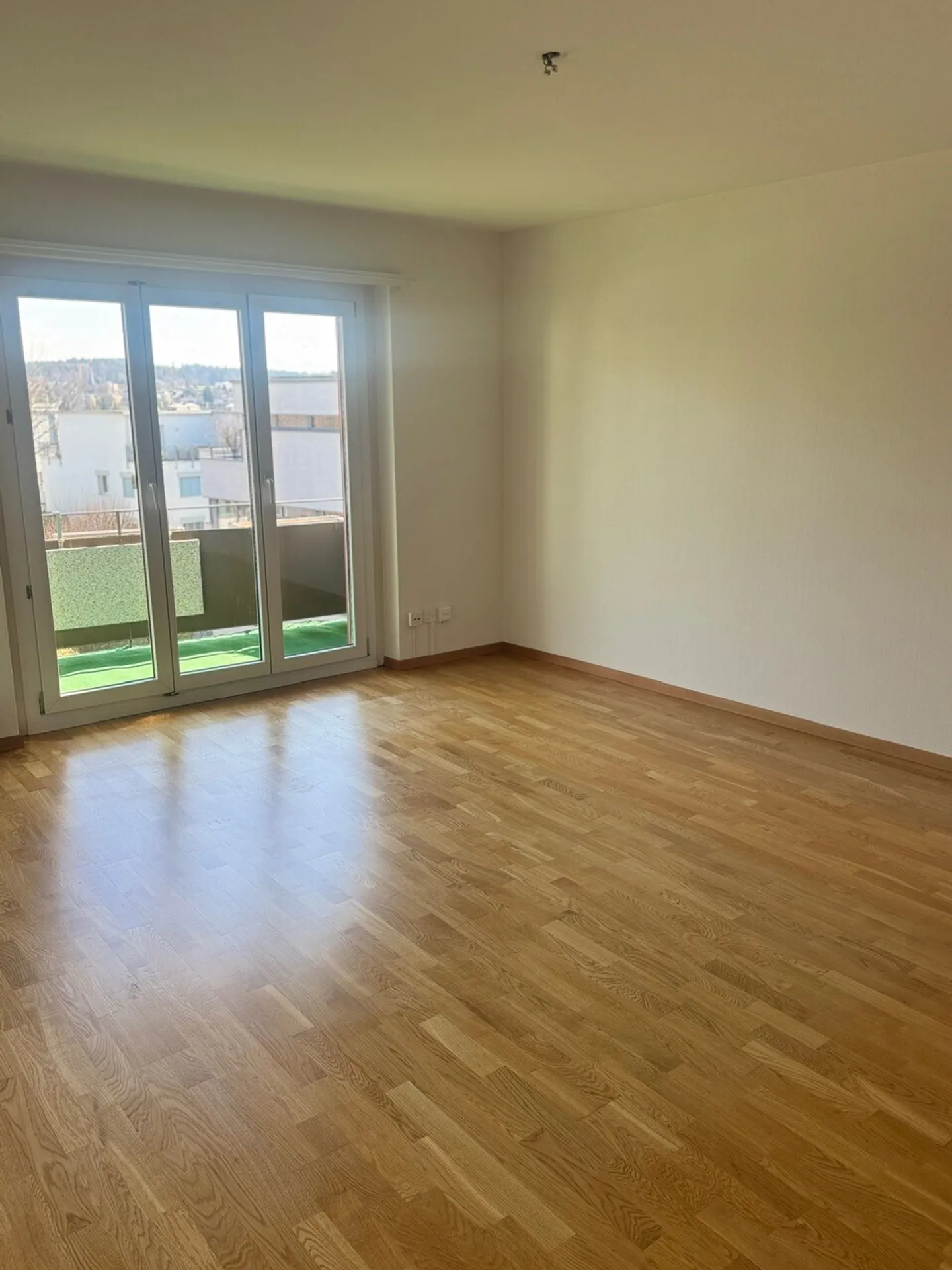 Cozy Apartment in Zurich - Photo 5 of 8