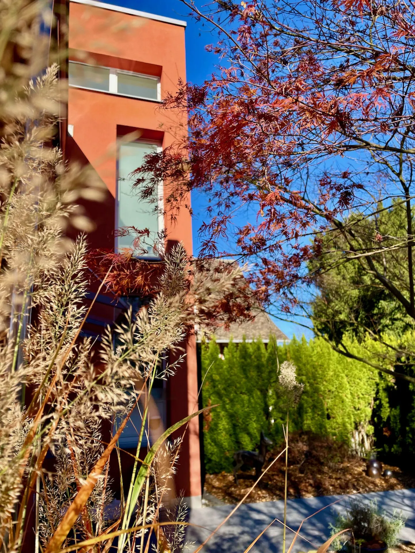 Townhouse-Oasi nel verde e in un quartiere tranquillo - Foto 1 di 12