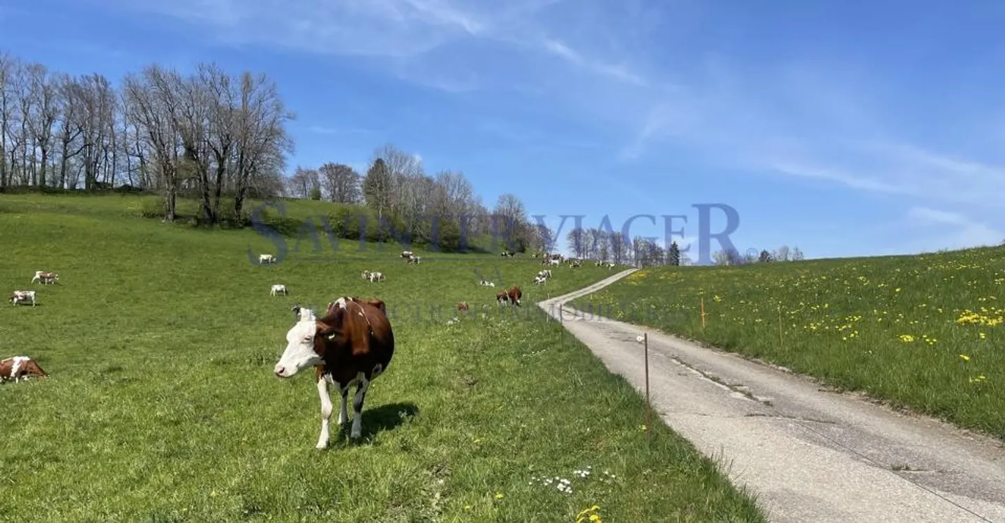 VIAGER. Châtel-St-Denis, Appartement au calme, jardin PPE 2034m2 - Photo 6 sur 13