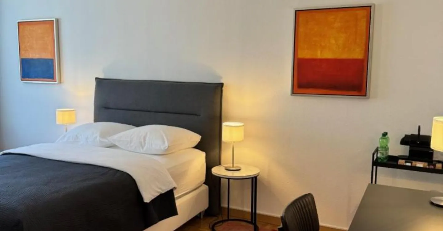 Renovated Studio in Lausanne - Photo 1 of 9