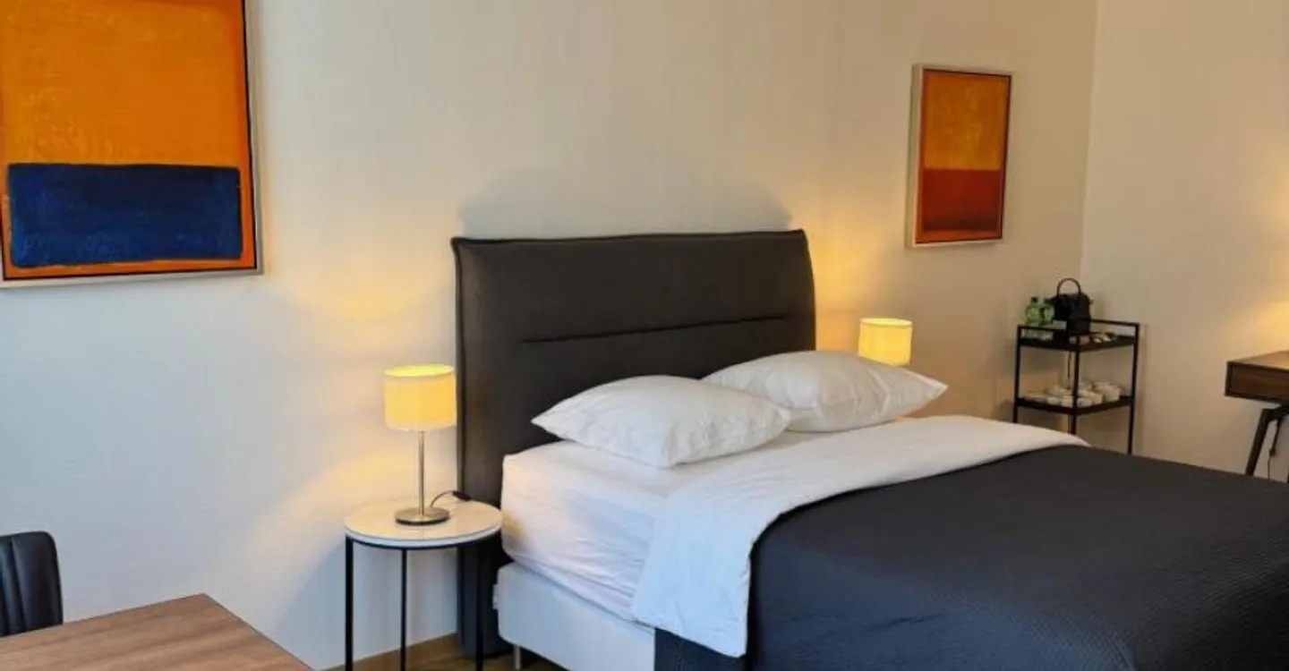 Renovated Studio in Lausanne - Photo 2 of 9