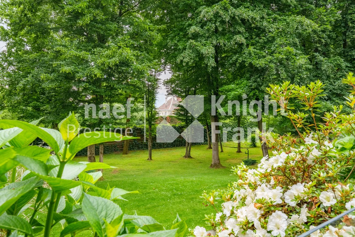 Appartamento in vendita - Foto 3 di 12