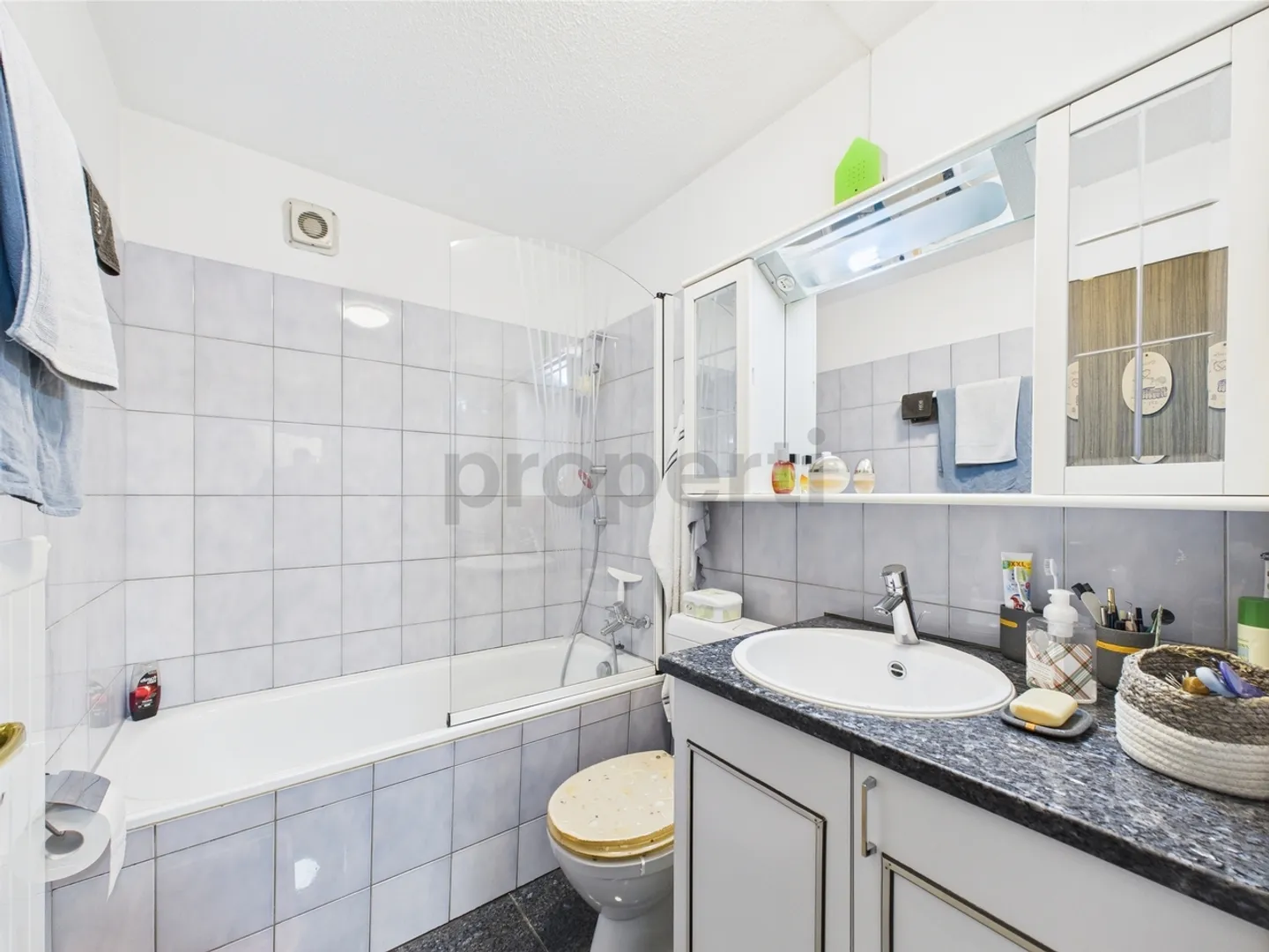 Attraktive Kapitalanlage mit Mieter - 3.5 Zimmer Wohnung mit Bergblick &amp; Garagebox - Foto 7 von 12