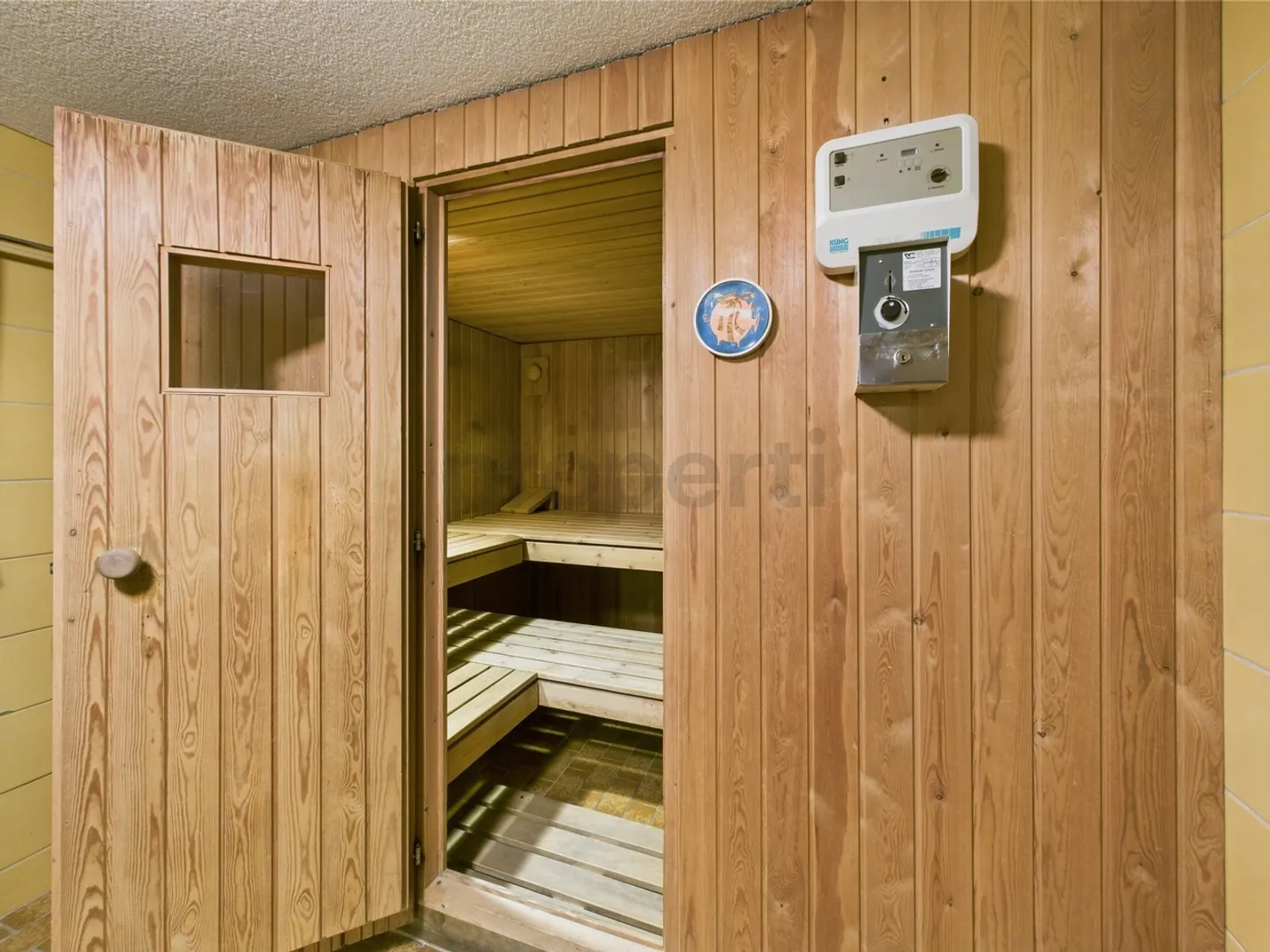 Attraktive Kapitalanlage mit Mieter - 3.5 Zimmer Wohnung mit Bergblick &amp; Garagebox - Foto 8 von 12