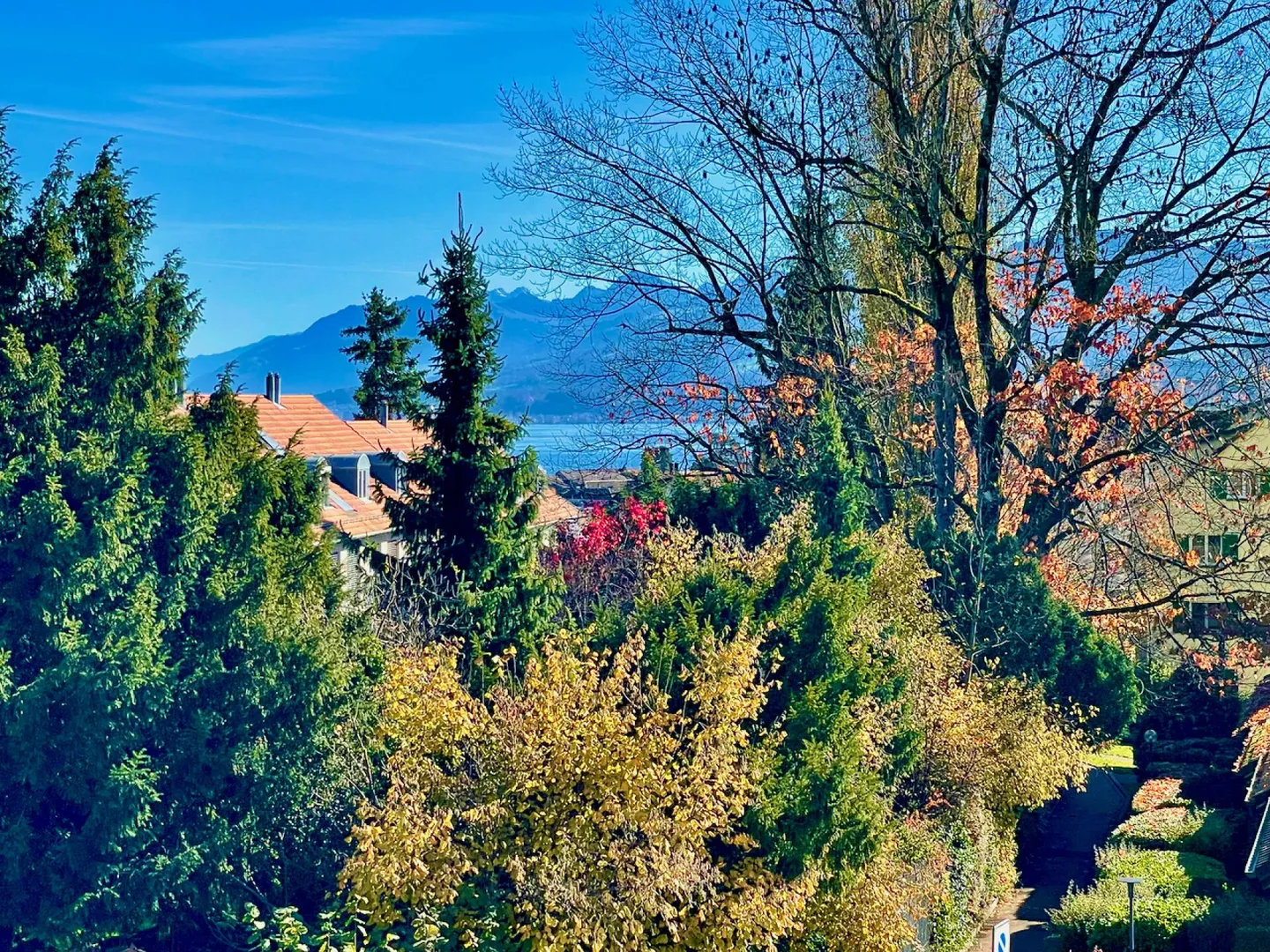 Townhouse-Oasi nel verde e in un quartiere tranquillo - Foto 11 di 12