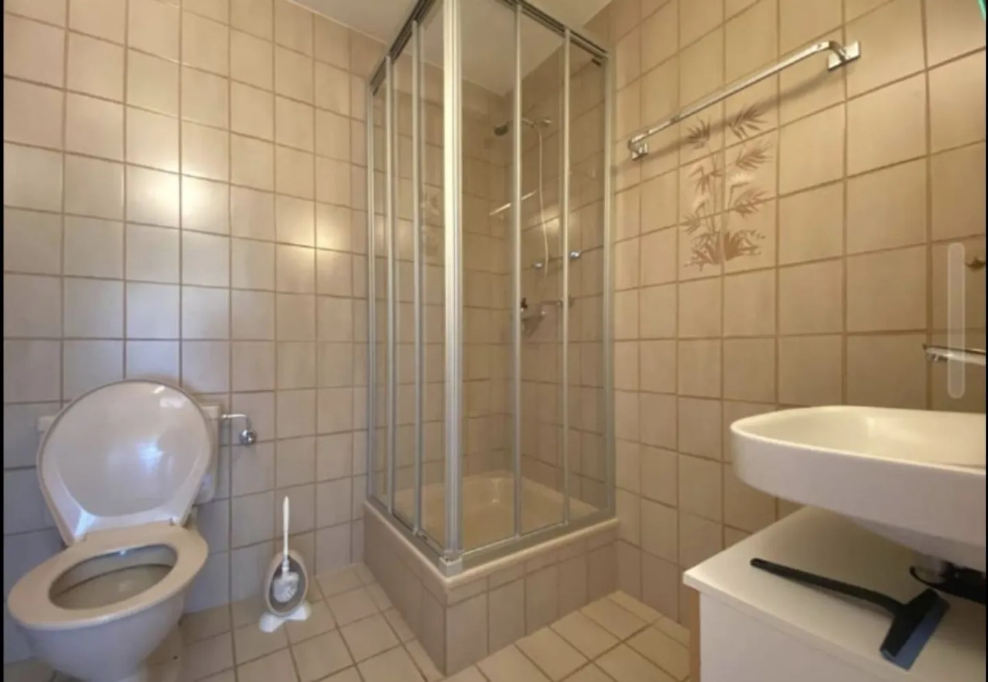 Charming Attic Apartment in Savièse - Photo 8 of 13