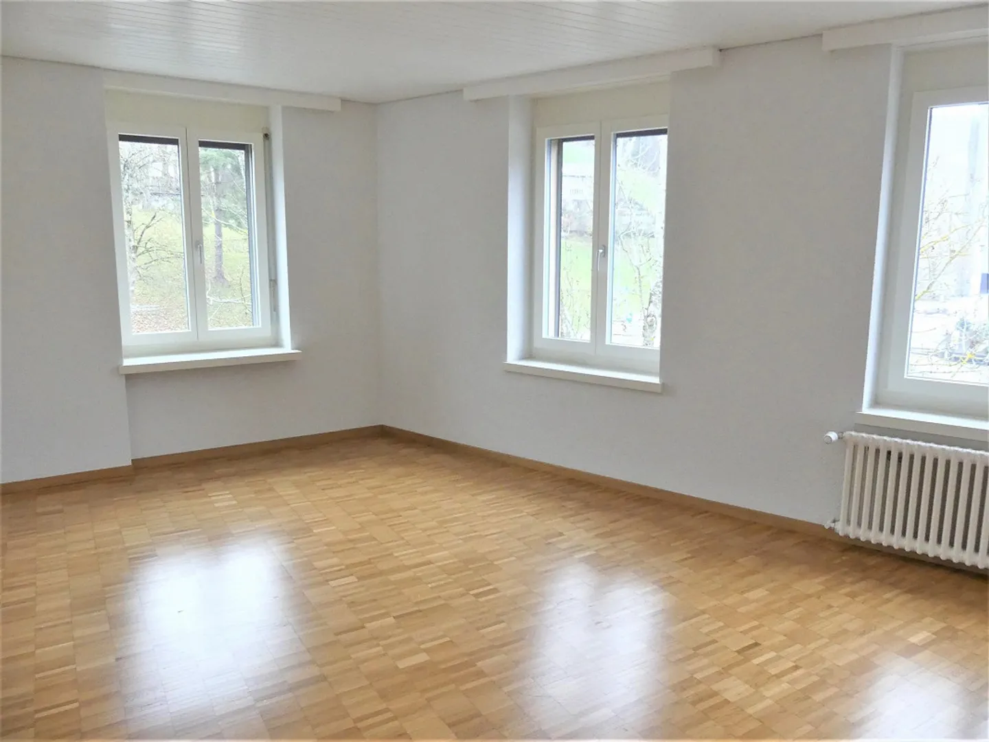 appartamento luminoso di 4 stanze nel quartiere Riethüsli - Foto 5 di 7