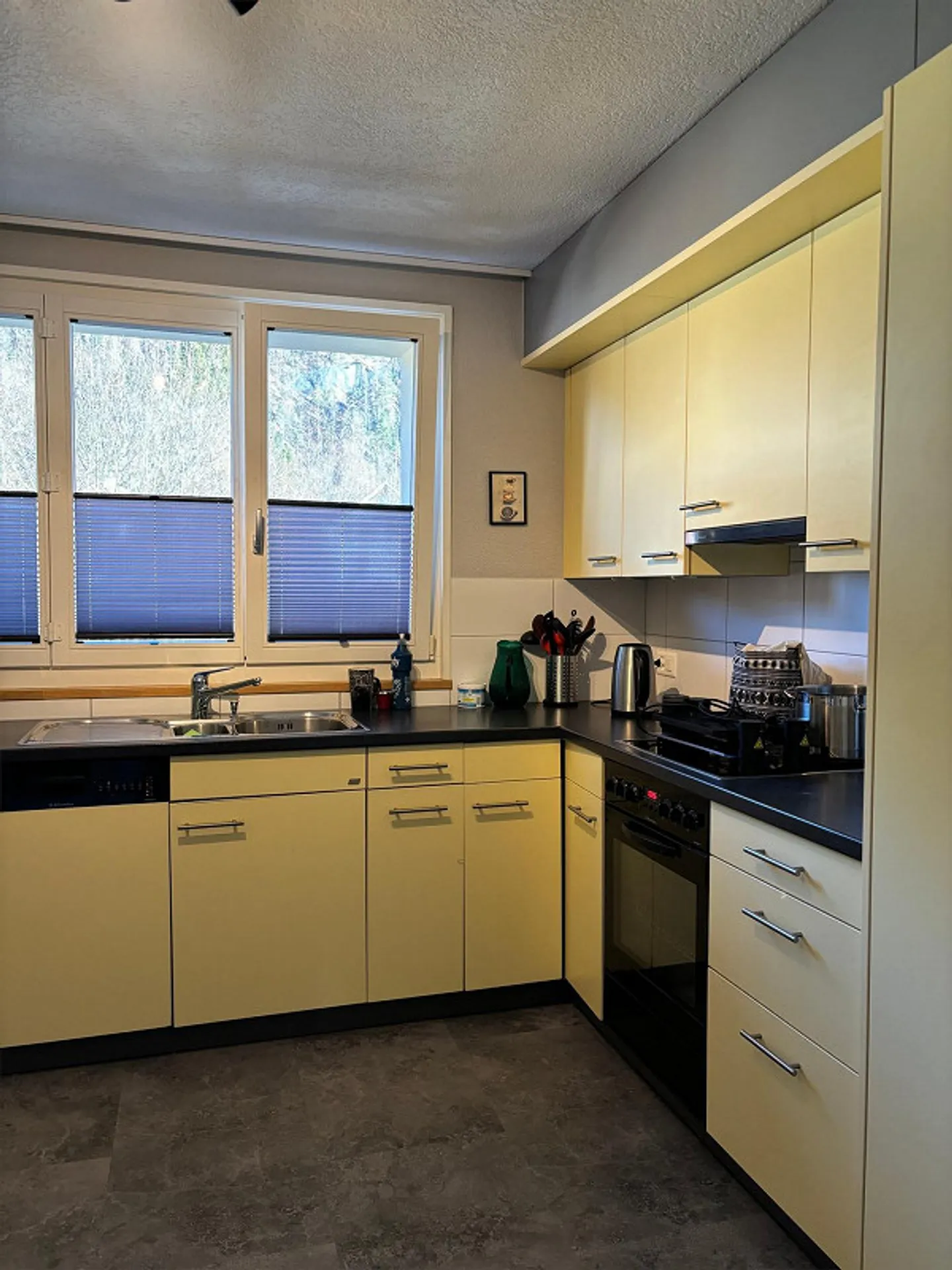 MFH Casa Plurifamiliare Meiringen / Centro - Foto 5 di 9