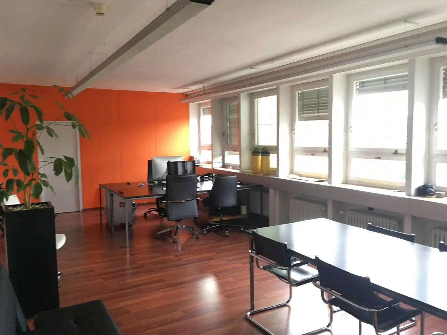 Ufficio spazioso e luminoso nell'area Viscosa - Foto 1 di 6